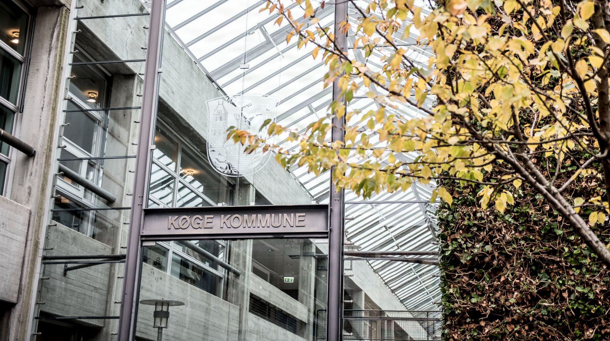 Køge Kommune ansætter Karina Falk Bernth som ny ældre- og sundhedschef. Hun er uddannet sygeplejerske og er i gang med en master i offentlig ledelse.