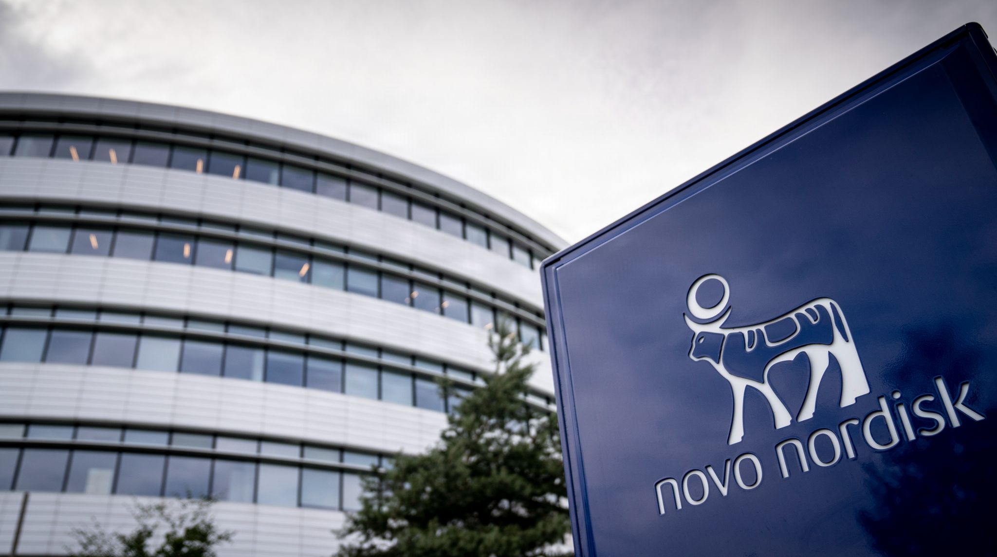 Morten Bache har været ansat hos Novo Nordisk Fonden i mere end otte år.