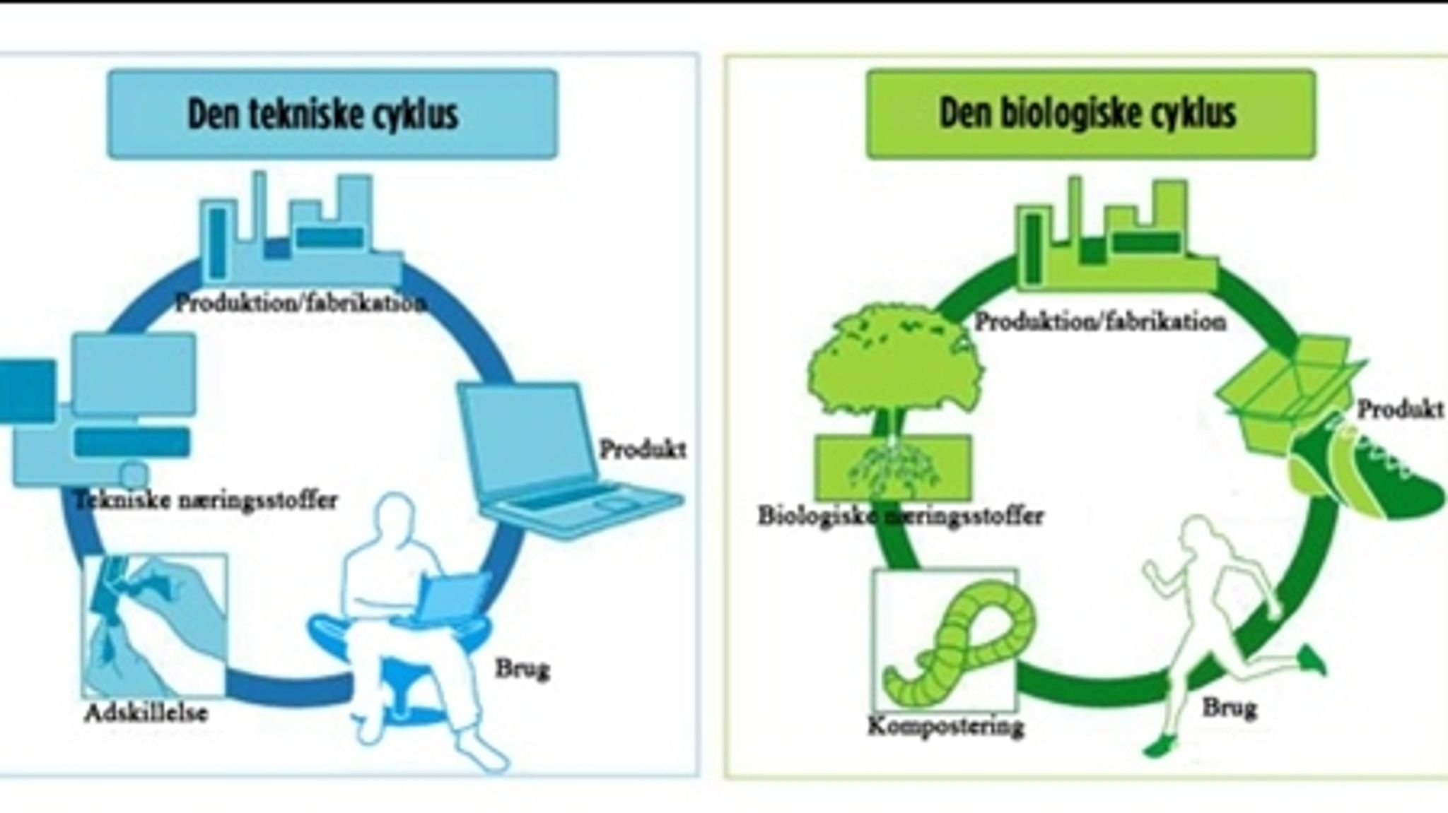 Den tekniske og den biologiske cyklus illustrerer tankegangen bag Vugge til Vugge.