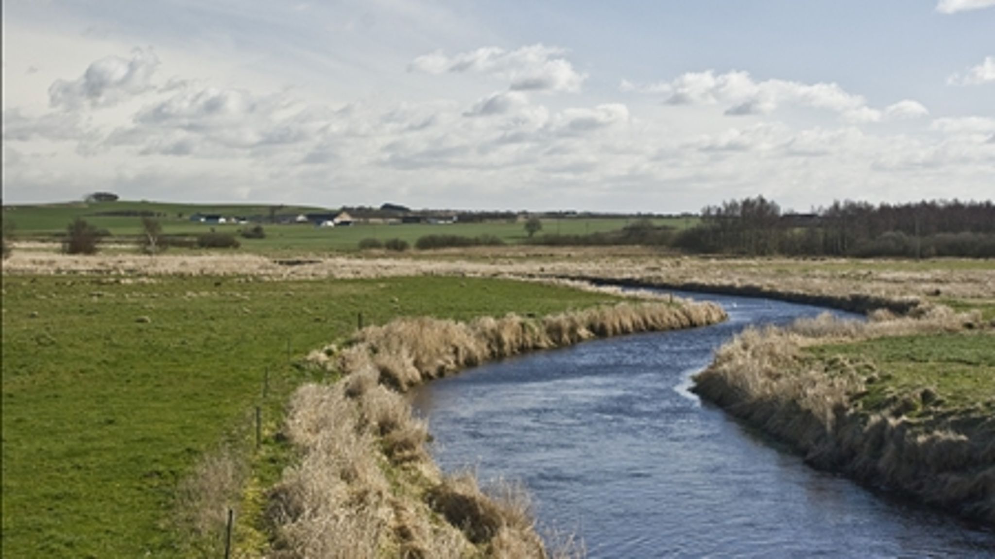 Udskyd tidsfristen og sænk kravene. Sådan lyder opfordringen fra en række borgmestre, der mener, at vandplanerne stiller for skrappe krav til landbruget omkring Limfjorden.