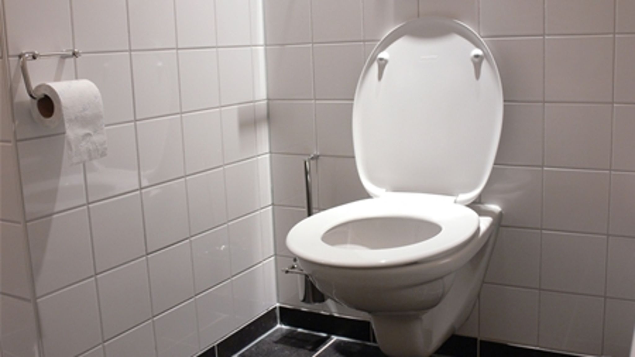Hvor svært kan det være? Servicestyrelsens ”begrebssekretariat” fandt det formålstjenstligt at sende begreber som ”toiletbesøg” i offentlig høring.