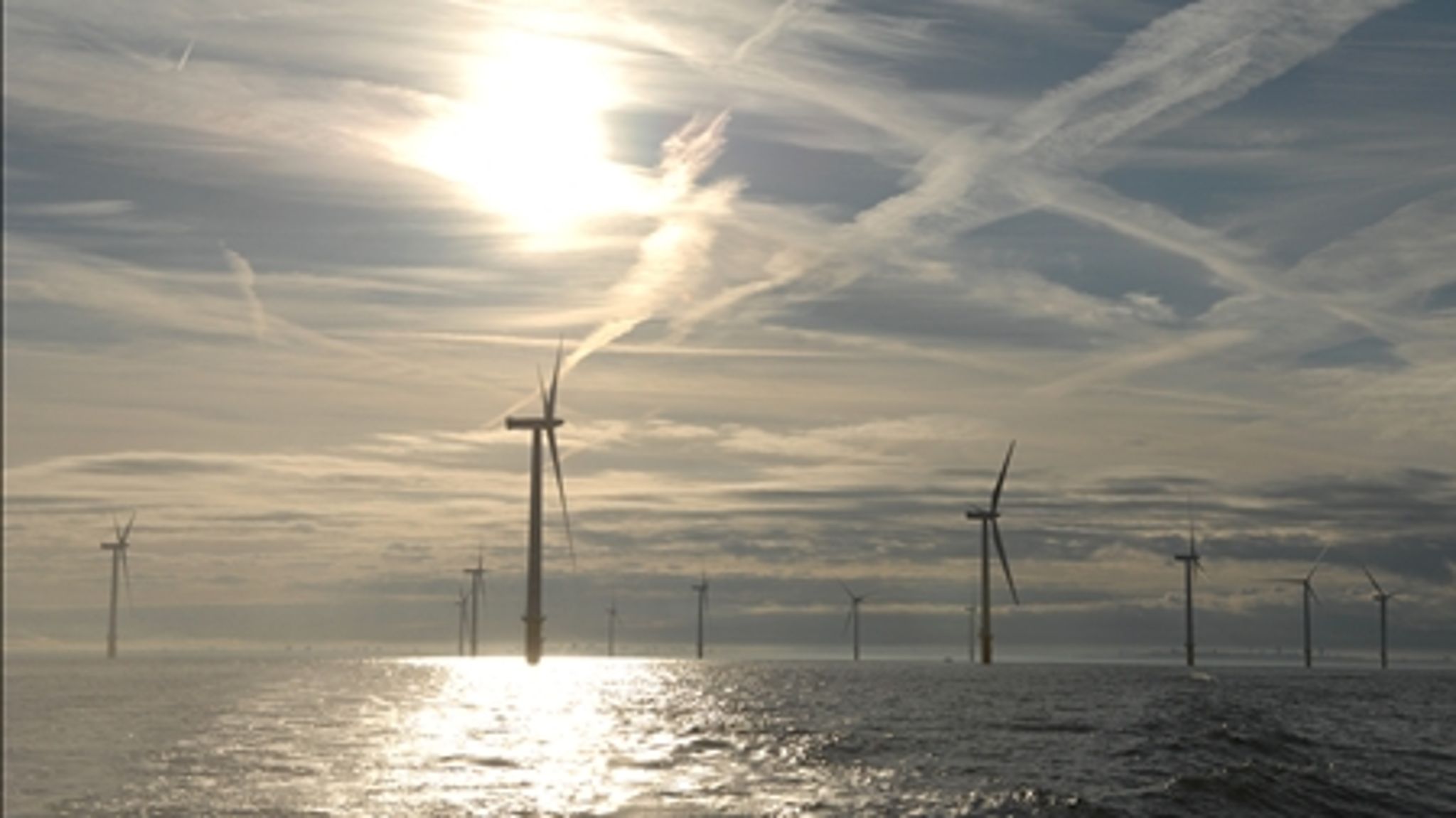 Næsten halvdelen af danskerne ønsker ikke at betale mere for vedvarende energi.