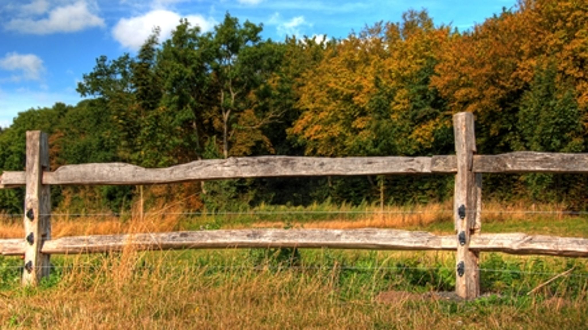 "Det vil være bedre, at vi får en beslutningen om, at vi ikke får en nationalpark, end at vi sidder og venter på en beslutning," siger borgmester i Helsingør Kommune, Johannes Hecht-Nielsen (V).