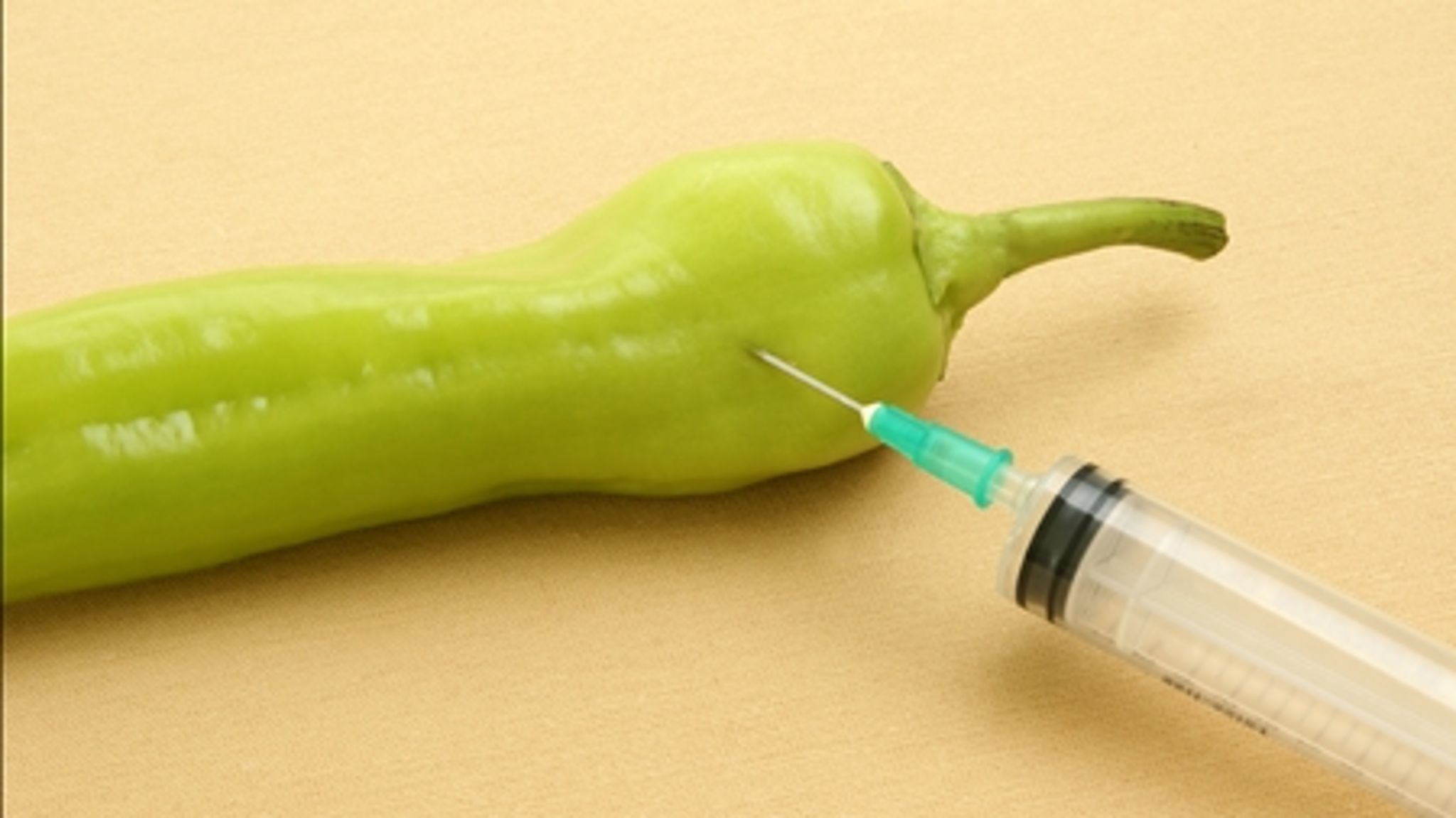 Miljøminister Ida Auken (SF) presser nu på for et kompromis på GMO-området. 