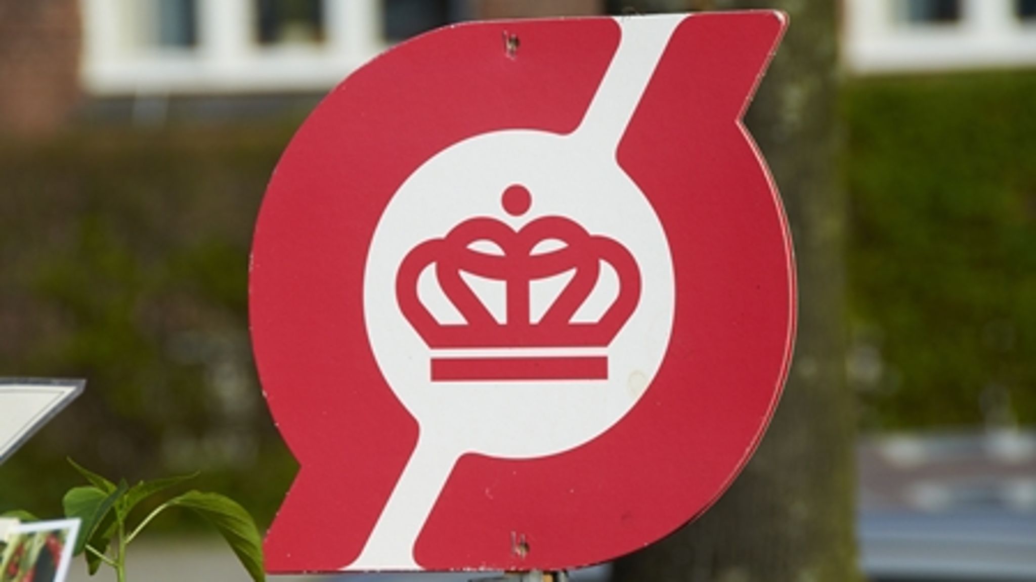 En nyt metastudie viser, at økologisk landbrug i gennemsnit giver 25 procent mindre udbytte end konventionelt landbrug. Det er dog vigtigt at se på andet end det endelige udbytte, siger Økologisk Landsforening og Landbrug & Fødevarer.