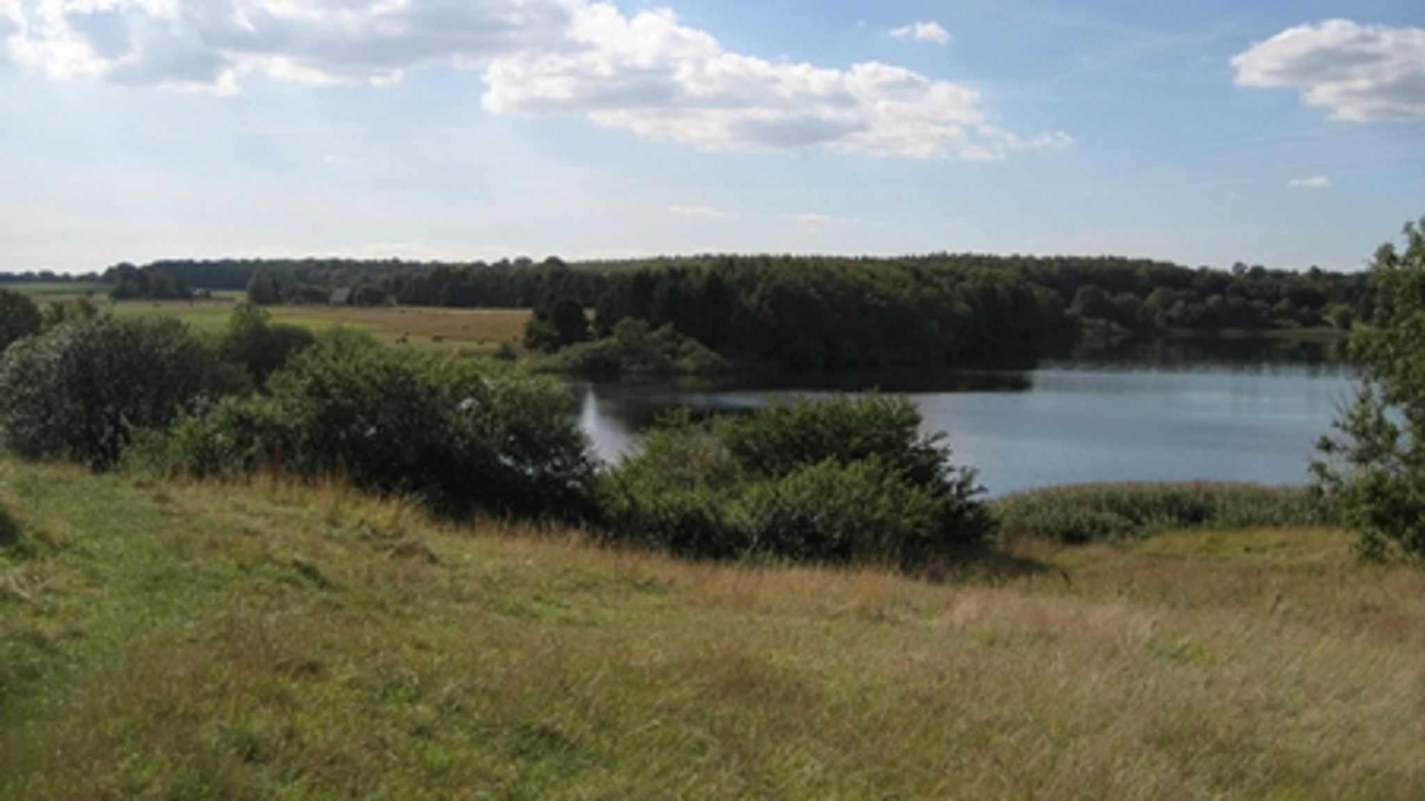 Kommuner og lodsejere forsøger igen at komme til enighed om nationalparken Kongernes Nordsjælland.