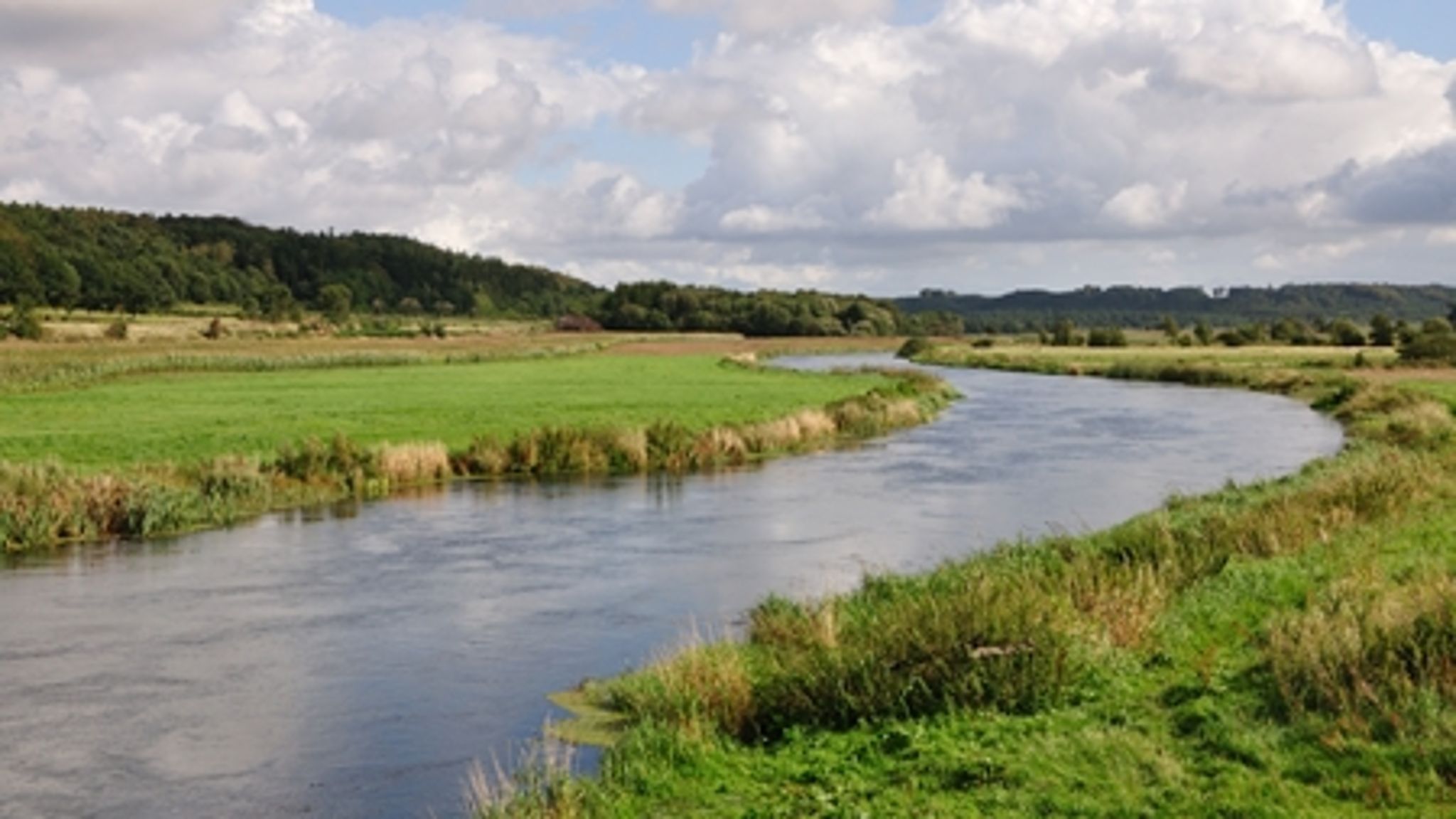 De politiske aftaler om Natur- og Landbrugskommissionen er i fokus hos mange miljøordførere.