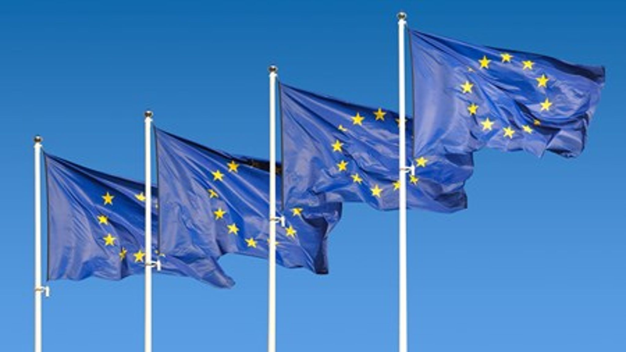 SF og Greenpeace er bekymrede for EU's miljøpolitik.<br>