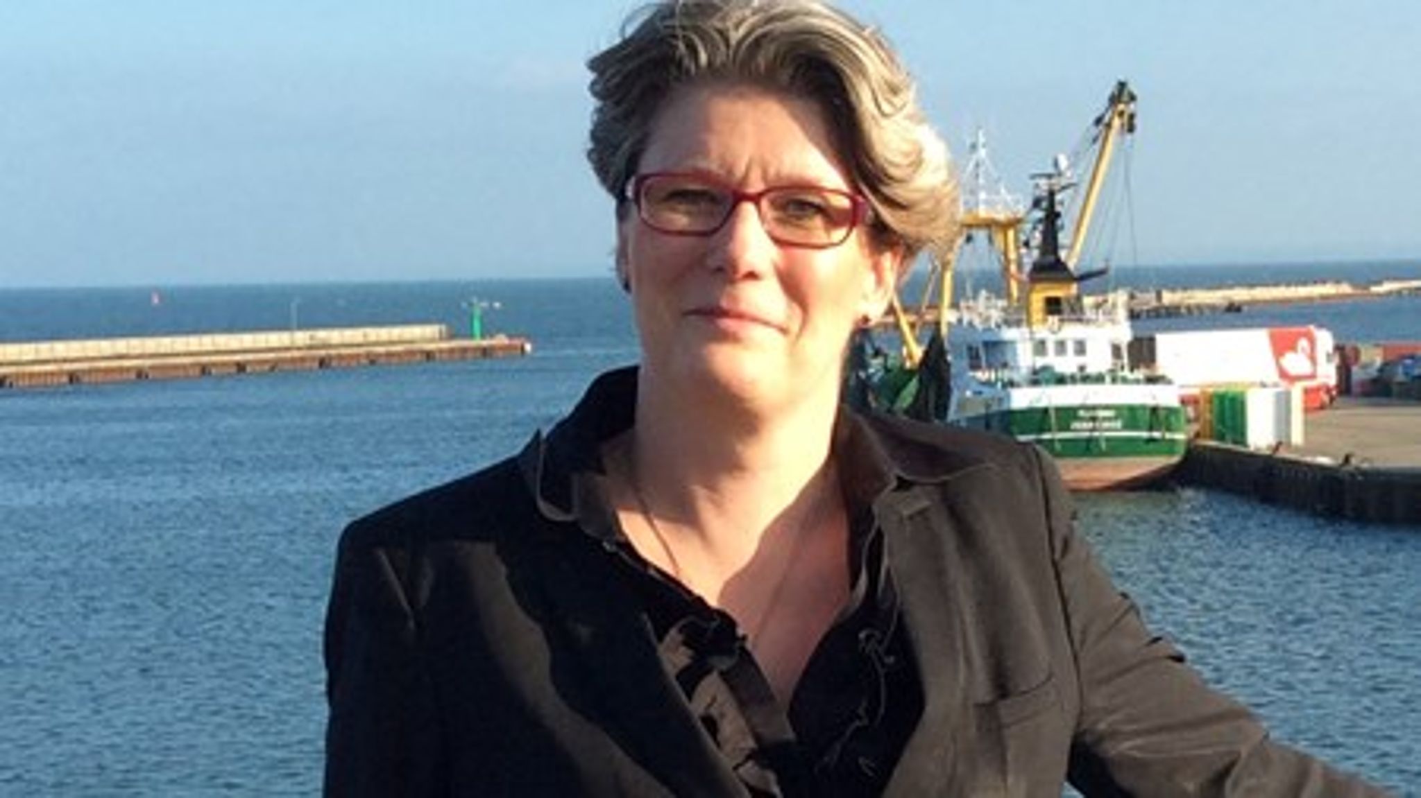 Det kræver en ny havnelov, hvis danske erhvervshavne fortsat skal skabe vækst og beskæftigelse i hele Danmark, skriver Gitte Lillelund Bech, direktør i Danske Havne.