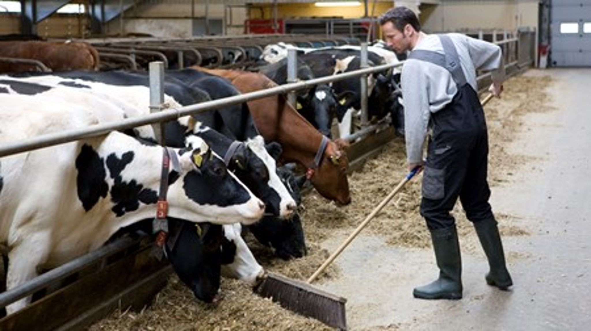 Landmænd kan de første år efter udflytningen&nbsp;blive ramt af længere sagsbehandlingstider og senere udbetaling af landbrugsstøtte, viser aktindsigt.