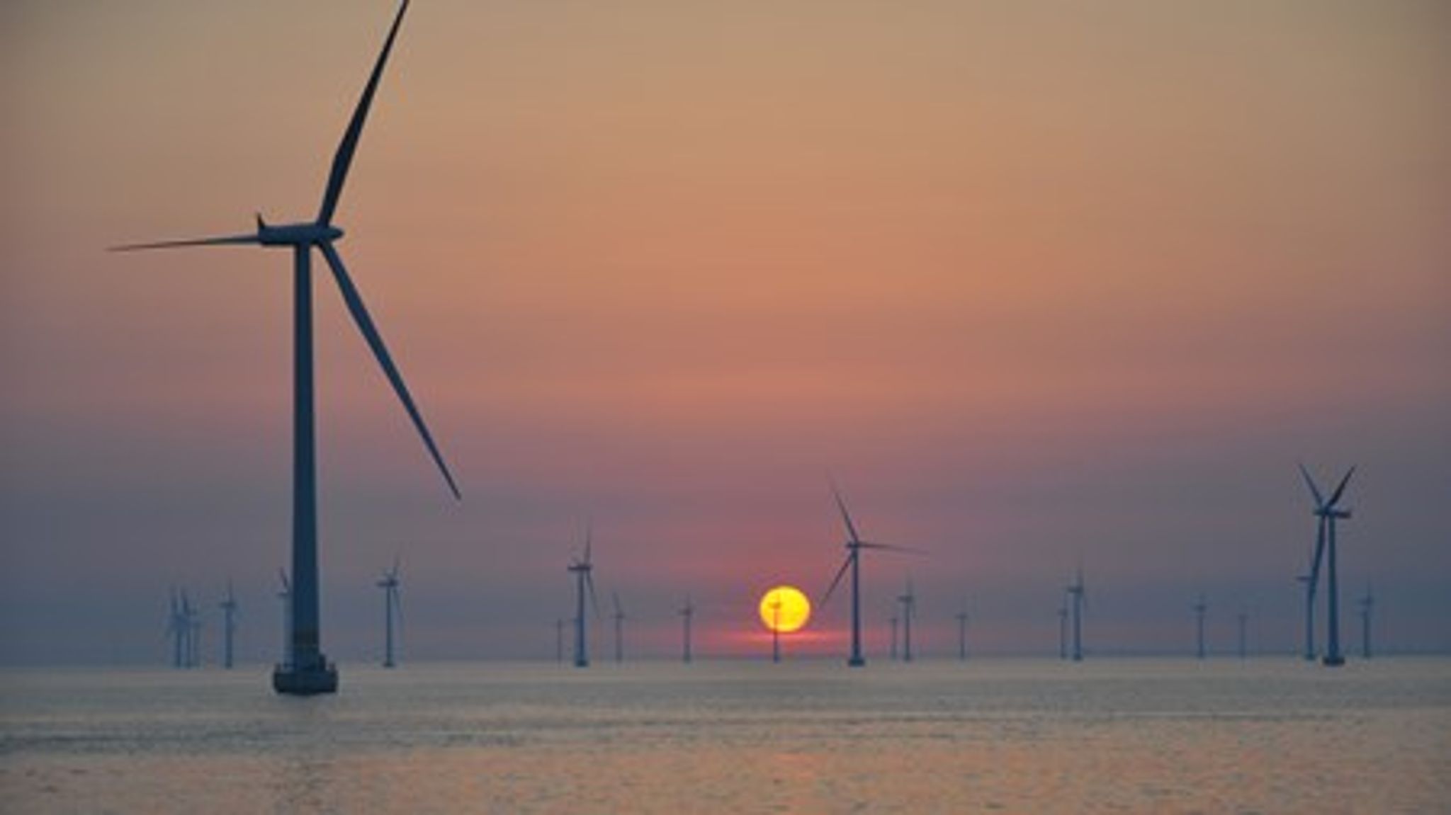 EU's kvotesystem skulle gøre det dyrere at udlede CO2, og mere attraktivt at omstille til en mere grøn produktion. Sådan er det ikke gået, og skal kvotesystemet fungere, skal kvoter tages ud af markedet, så prisen kommer markant op, mener Klimarådets formand Peter Birch Sørensen.