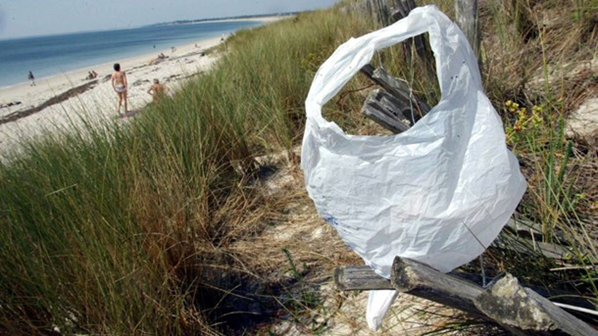 Danskerne er klar, og også&nbsp;flere brancher er parate til at tage ansvar for at løse plastikforureningen. Hvad med politikerne? Sådan spørger&nbsp;Heidi Bülow,&nbsp;direktør og stifter af Maistic Bio Group.