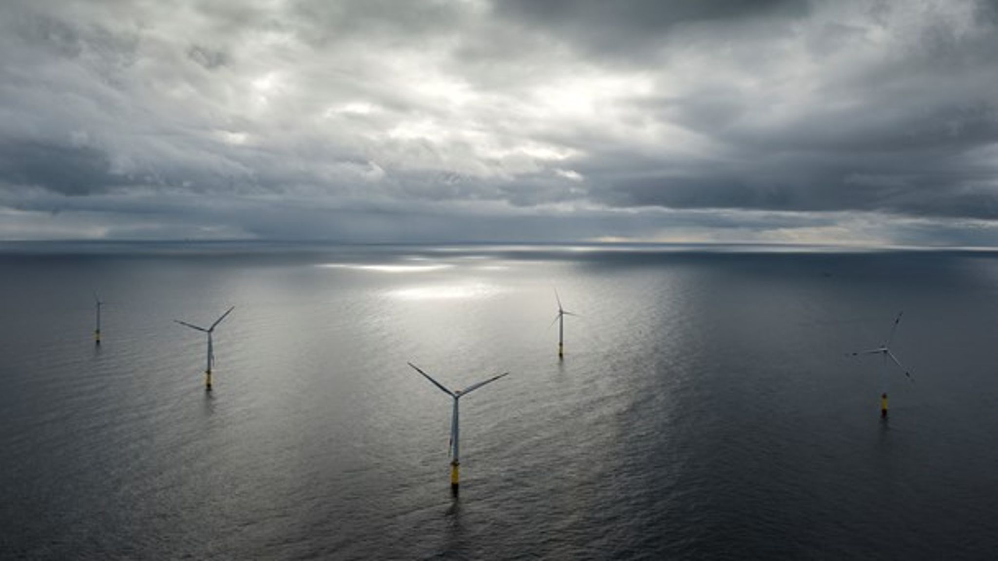 De økonomiske vismænd er ligesom regeringen skeptisk over for nye kystnære havvindmøller.