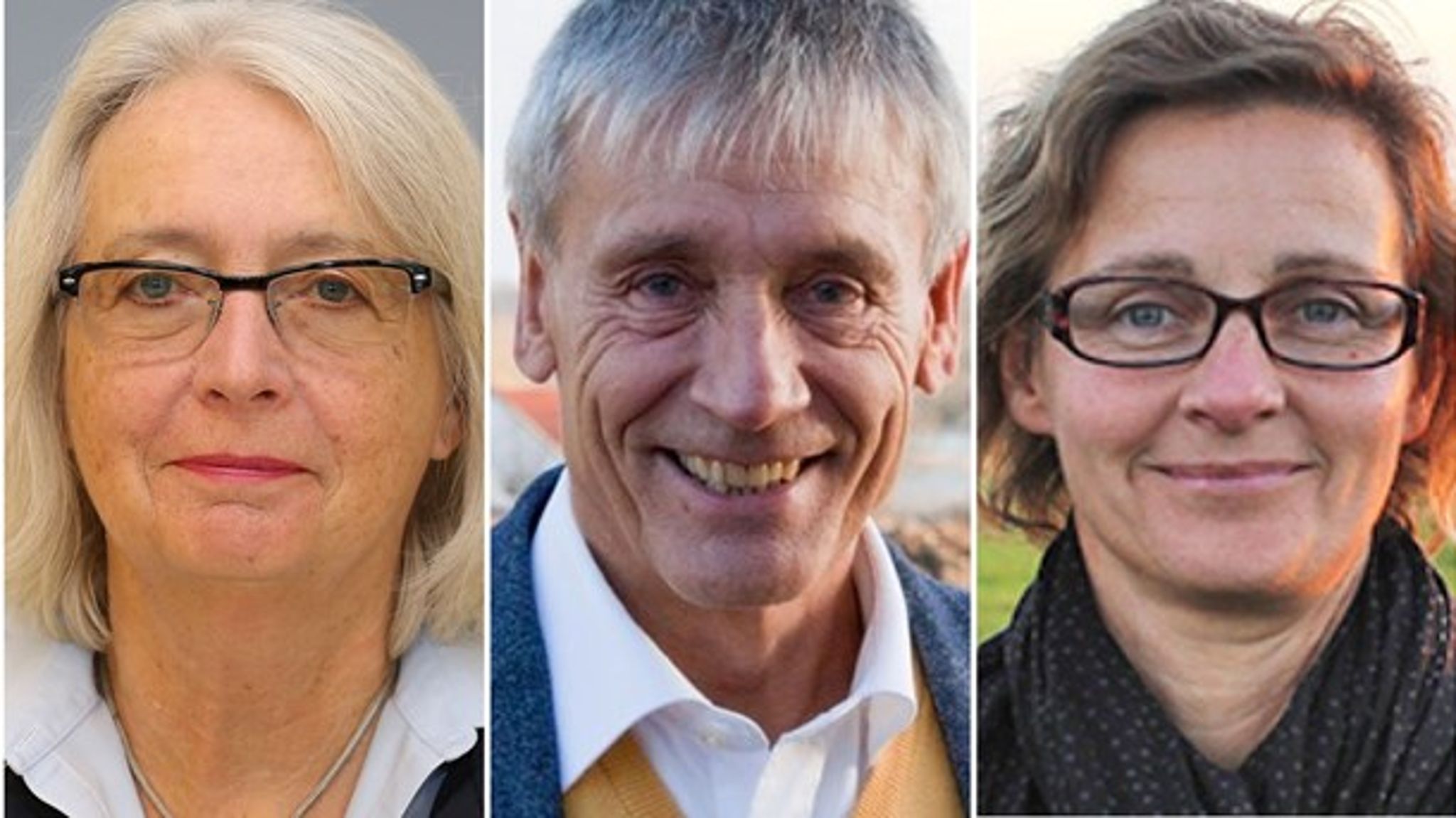 Forslagene om nye klagenævn på miljøområdet skaber større problemer, end de løser, både for erhvervslivet og for borgerne og miljøet, lyder det fra&nbsp;Ellen Margrethe Basse, Peter Pagh og Helle Tegner Anker .