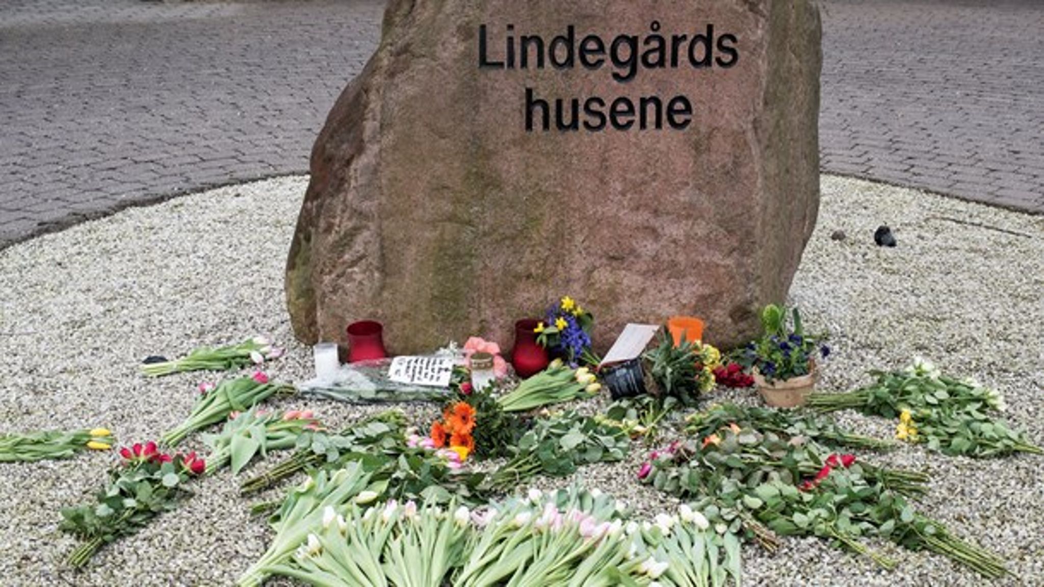 Mordet på en ansat på bostedet Lindegårdshusene i Roskilde i marts var det femte på fire år på et af landets bosteder. 