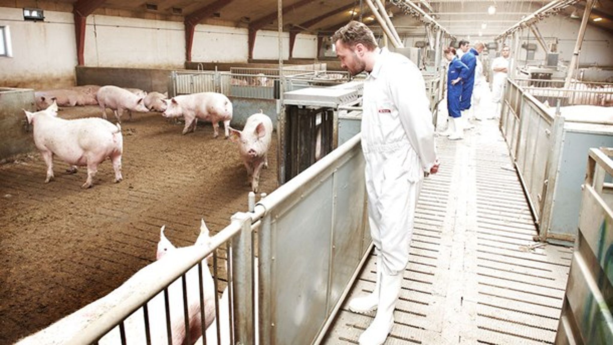 Hver gang man forbyder et antibiotikum, ryger forbruget blot over på andre og måske mindre hensigtsmæssige behandlingsformer, lyder advarslen. 