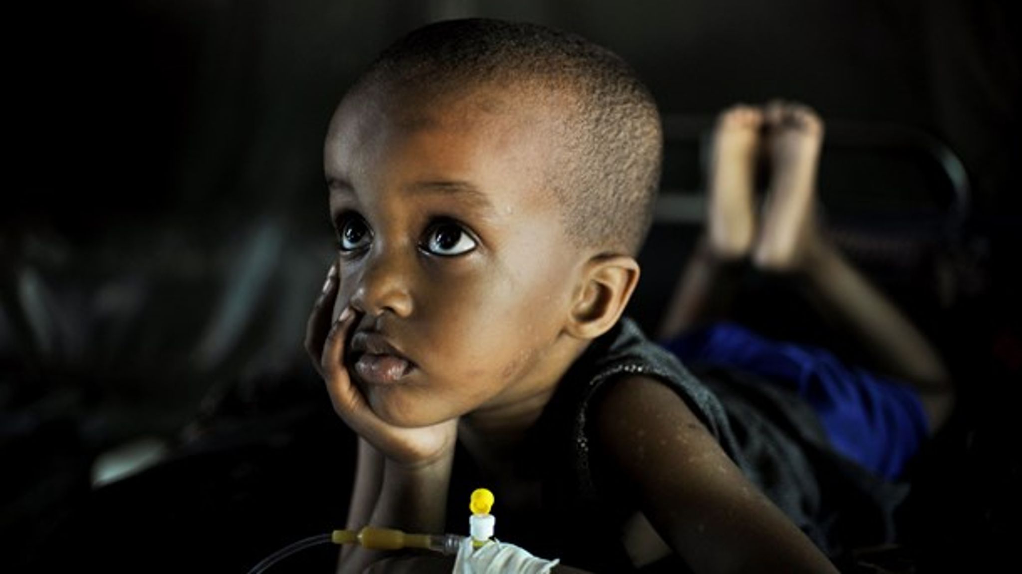 Snart kan det være slut med malaria. Ny teknologi tilbyder nemlig at udrydde virussen helt. Men det kommer med en pris. 