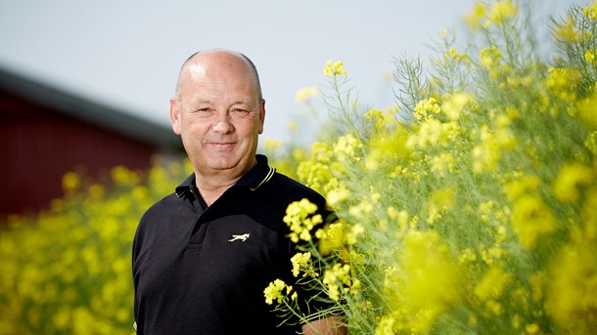 Når en påstand er sagt tilpas mange gange, uden at være imødegået, bliver det sandheden. Det er også tilfældet med økologismens fremmarch, skriver Vagn Lundsteen.