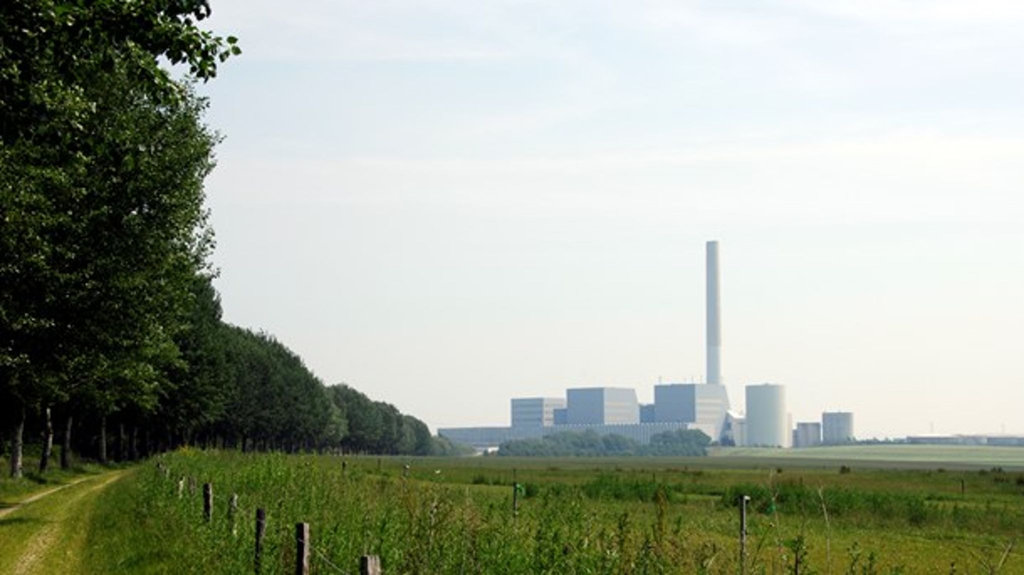 Studstrupværket nord for Aarhus er et af de danske kraftværker, der er ombygget til at fyre med biomasse. Ifølge Dansk Energi står biomasse på danske kraftvarmeværker for 25 procent af den danske CO2-reduktion i 2020. 