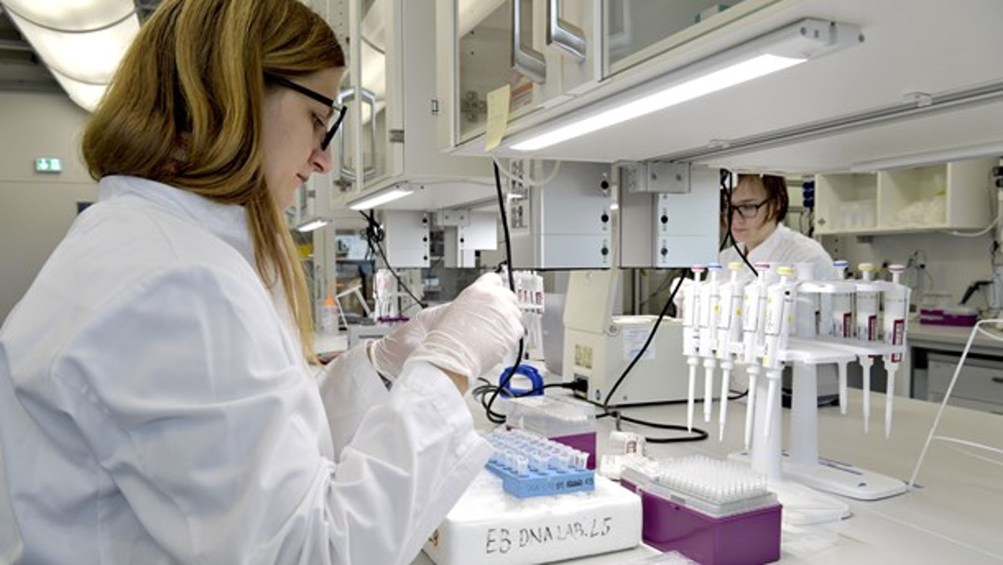 “Ved at støtte gennem fem år håber vi på, at de også vil være parate til at tage fat på mere usikre projekter," siger Niels-Henrik von Holstein-Rathlou, Head of Research and Innovation Grants i Novo Nordisk Fonden.