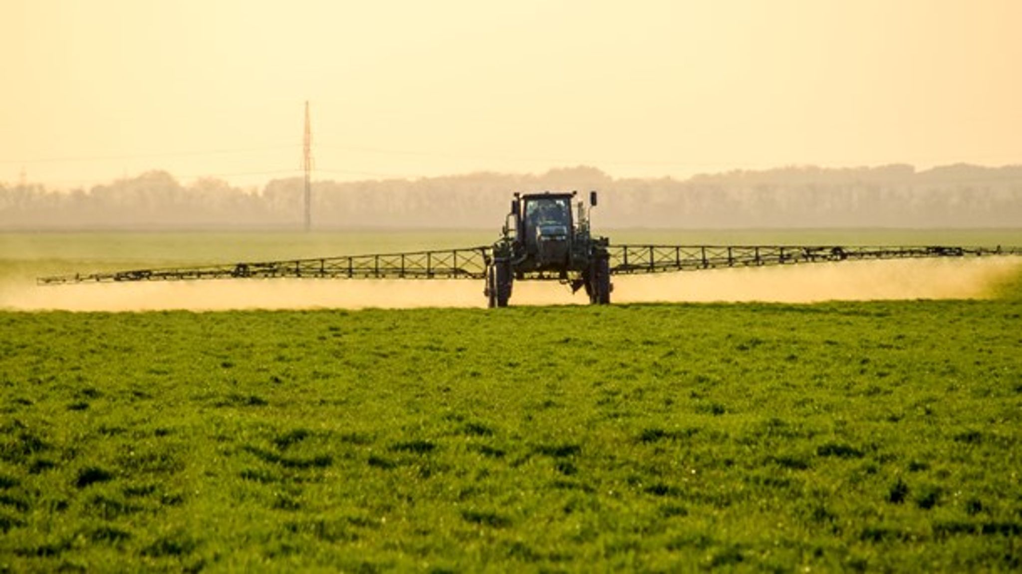Landbrug &amp; Fødevarer ser en risiko for, at respekten om Arbejdstilsynets advarsler falder, når glyphosat bliver betegnet som et kræftrisikostof, selv om blandt andre Miljøstyrelsen ikke anser glyphosat som kræftfremkaldende.