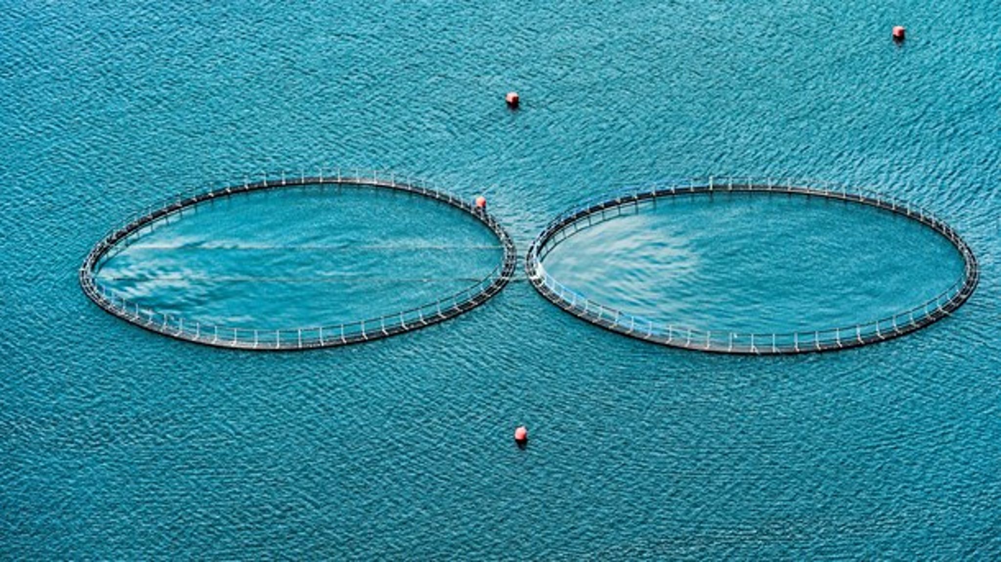 Folketinget bør ikke&nbsp;give tilladelse til nye havbrug, når man omkostningseffektivt kan producere fiskene i landbaserede anlæg med langt mindre miljøbelastning, mener&nbsp;Jørn Jespersen.&nbsp;