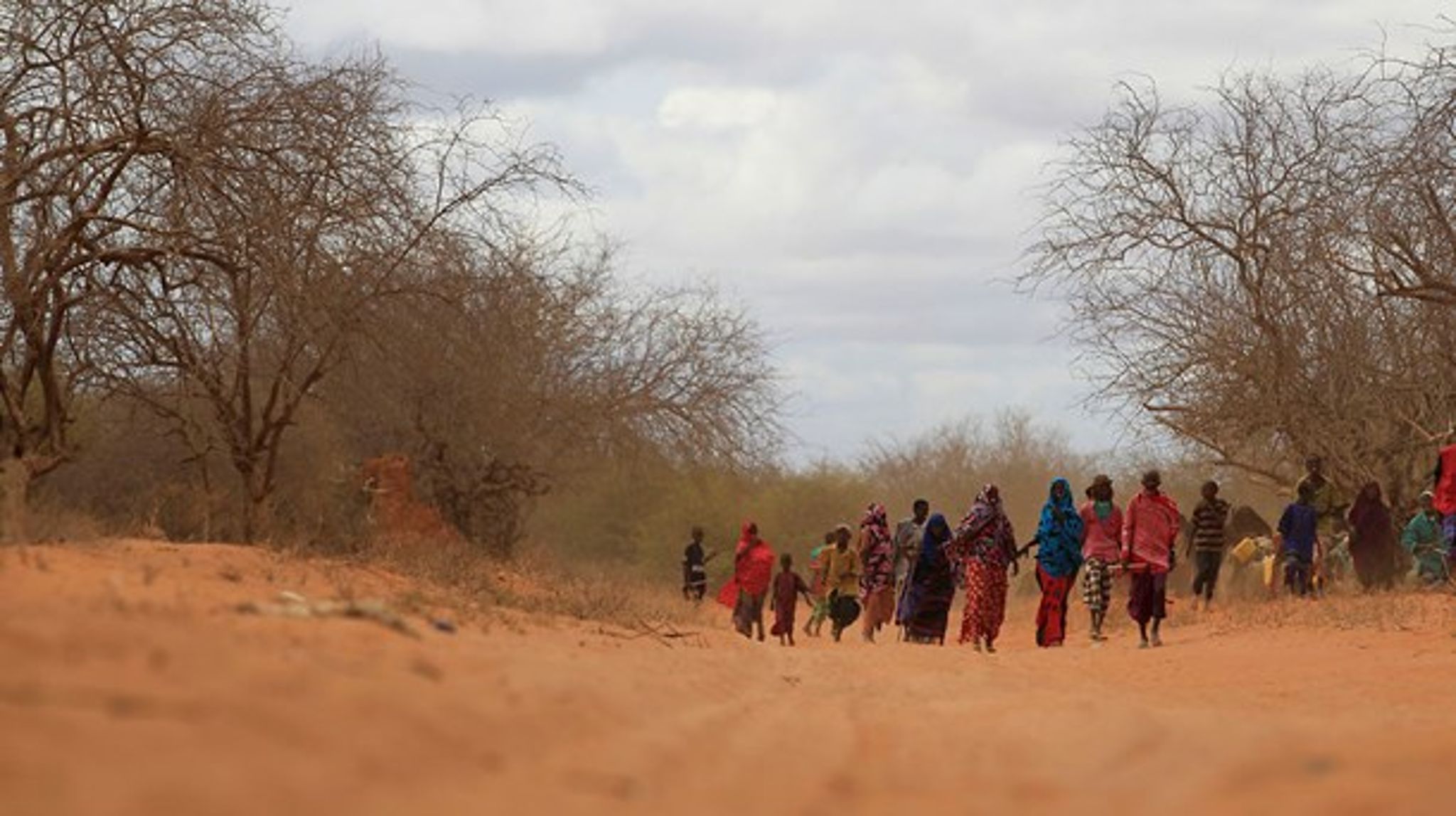 Socialdemokraternes seneste udspil om Marshallhjælp til Afrika er 
så kortsigtet, at udviklingsbistanden risikerer at blive direkte 
kontraproduktiv, skriver Michael Aastrup Jensen (V).<br>