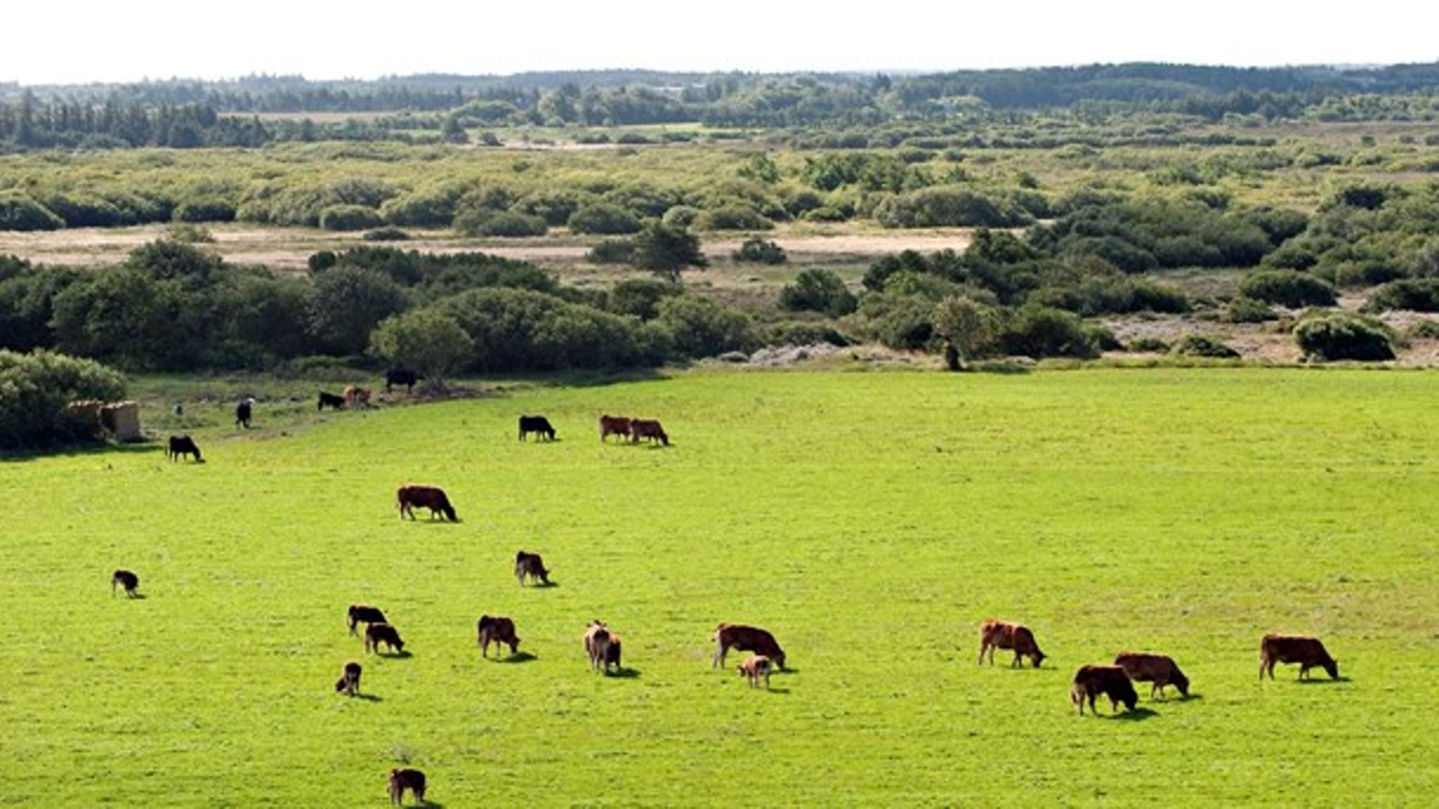 I 2018 skal kommunerne i samarbejde med naturrådene udpege hvilke områder, der skal indgå i Grønt Danmarkskort. 