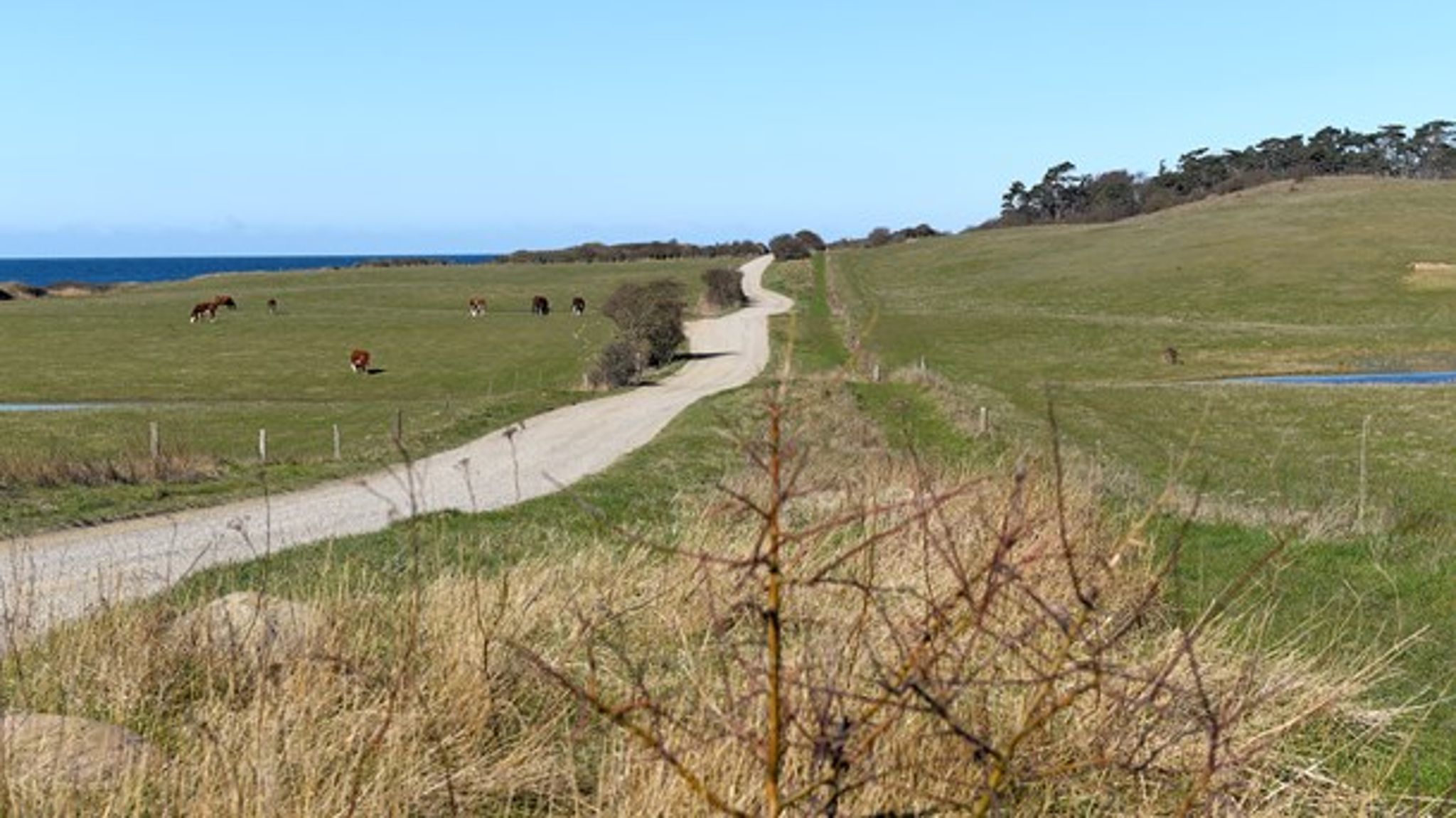 <b>TILFLYTTERVENLIGT:&nbsp;</b>Grusvej ved Røsnæs Fyr, Kalundborg
