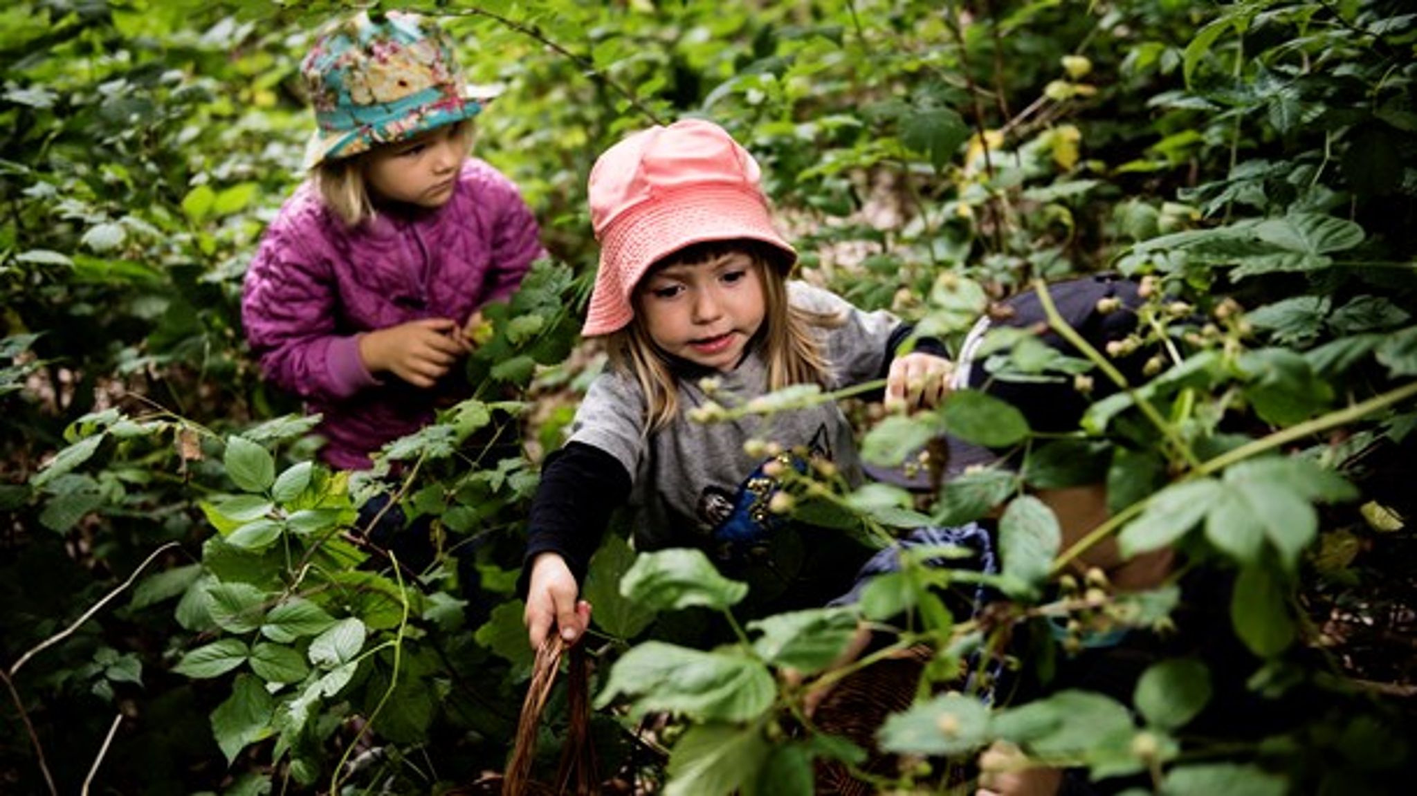 Frøene til den naturvidenskabelige dannelse sås tidligt i livet, og derfor skal vi starte allerede i vuggestuen, hvis vi vil have flere til at vælge naturvidenskaben som karrierevej senere i livet, skriver&nbsp;<span>Thorleif Frøkjær.<br></span>