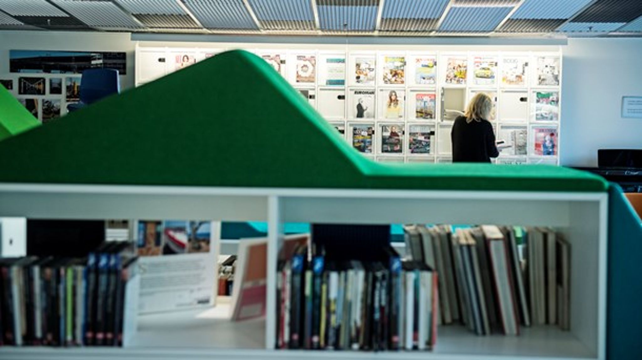 UDSKAMNING: Det er komplet uventet, at en grundlæggende dansk værdi som bibliotekerne nu skal beskyldes for at mindske arbejdsudbuddet, skriver Flemming Chr. Nielsen.&nbsp;