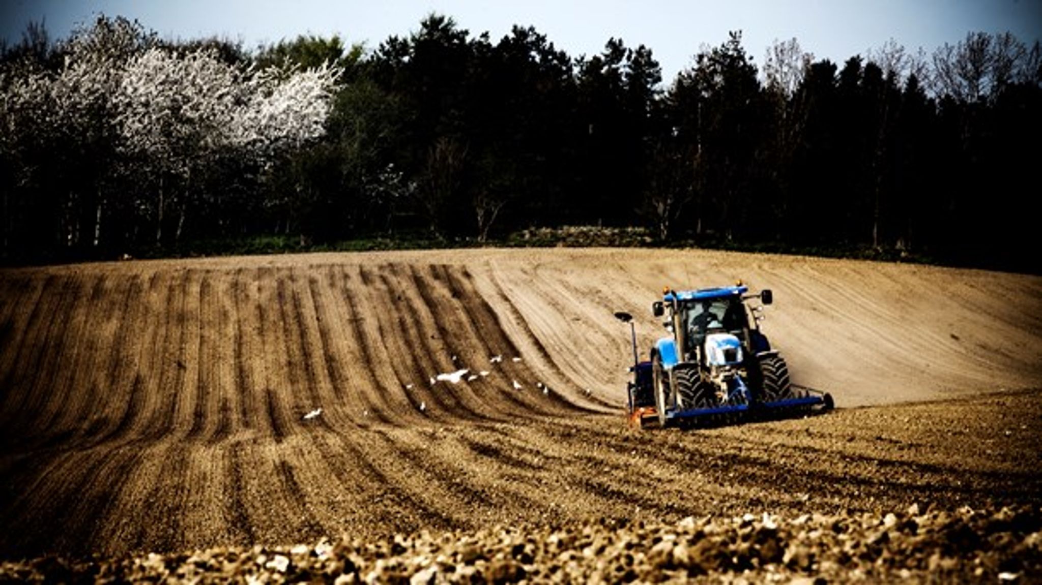 I kvælstofregnskabet for landbrugspakken skulle der i 2017 ske en reduktion på 600 tons kvælstof. Men ifølge nye målinger kan udledningen i årene, efter landbrugspakken blev vedtaget, faktisk være steget med 2.500 tons ekstra kvælstof til danske vandmiljøer, skriver&nbsp;professor Brian Kronvang og biolog Jørgen Windolf fra Aarhus Universitet.