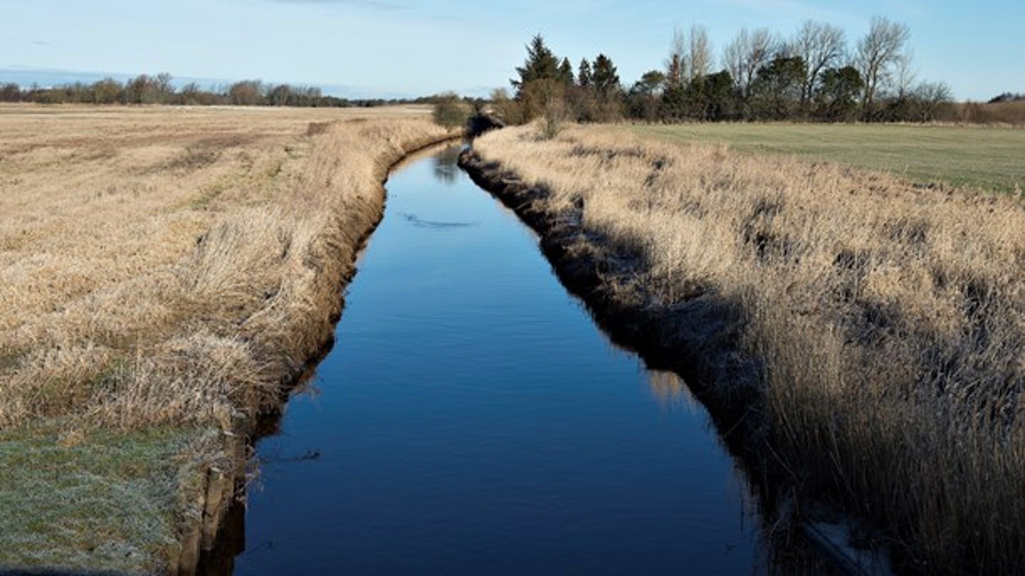 Landbrugspakken kan have medført, at der er udledt mere kvælstof i danske vandløb end først antaget. Det får en række partier i rød blok til at kræve handling.