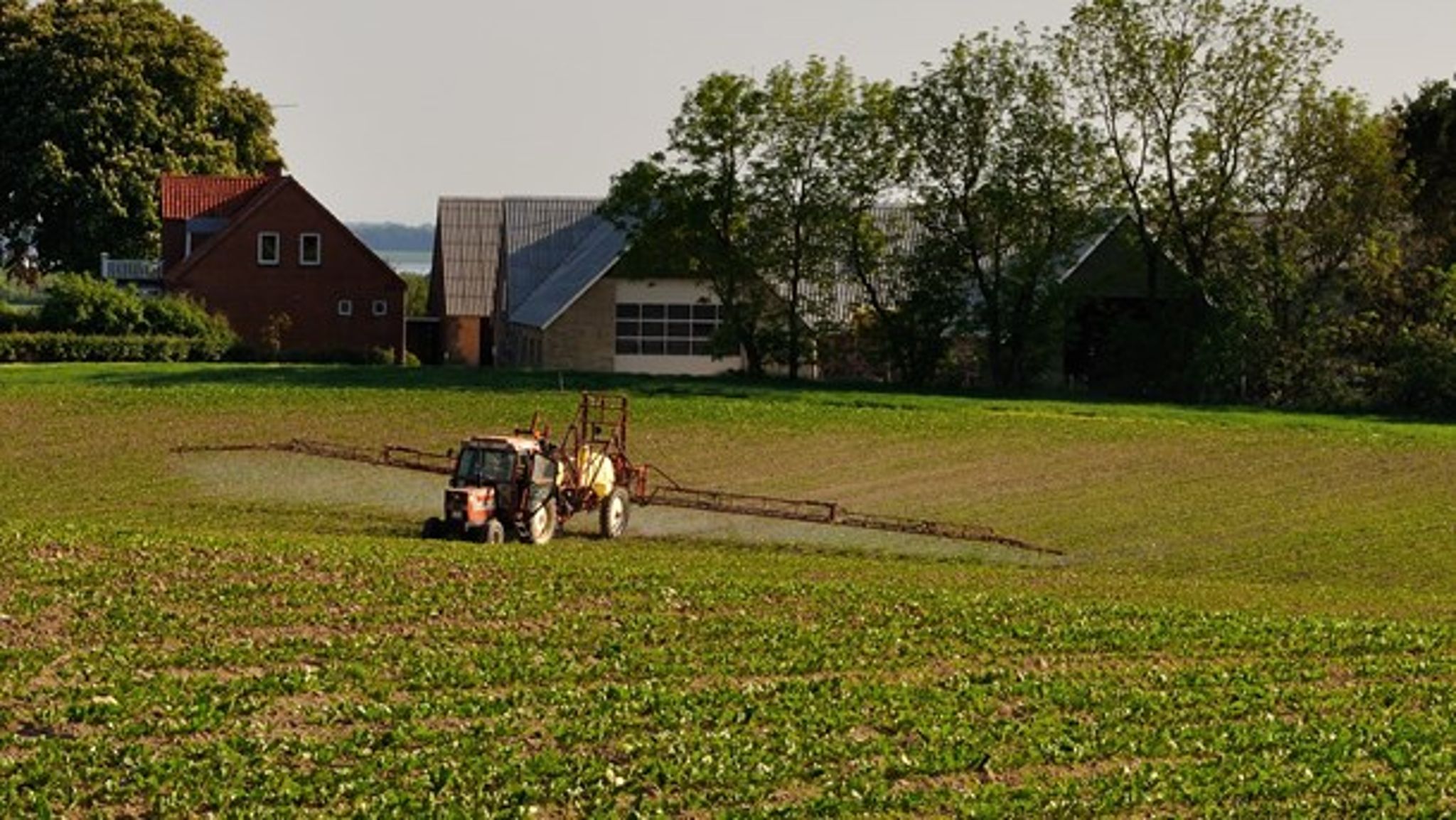 Den
lave forekomst af kræfttilfælde blandt danske landmænd er ikke et holdbart&nbsp;argument for fortsat
at sprøjte vores marker og miljø til med Roundup, mener Margrete Auken (SF).<br>