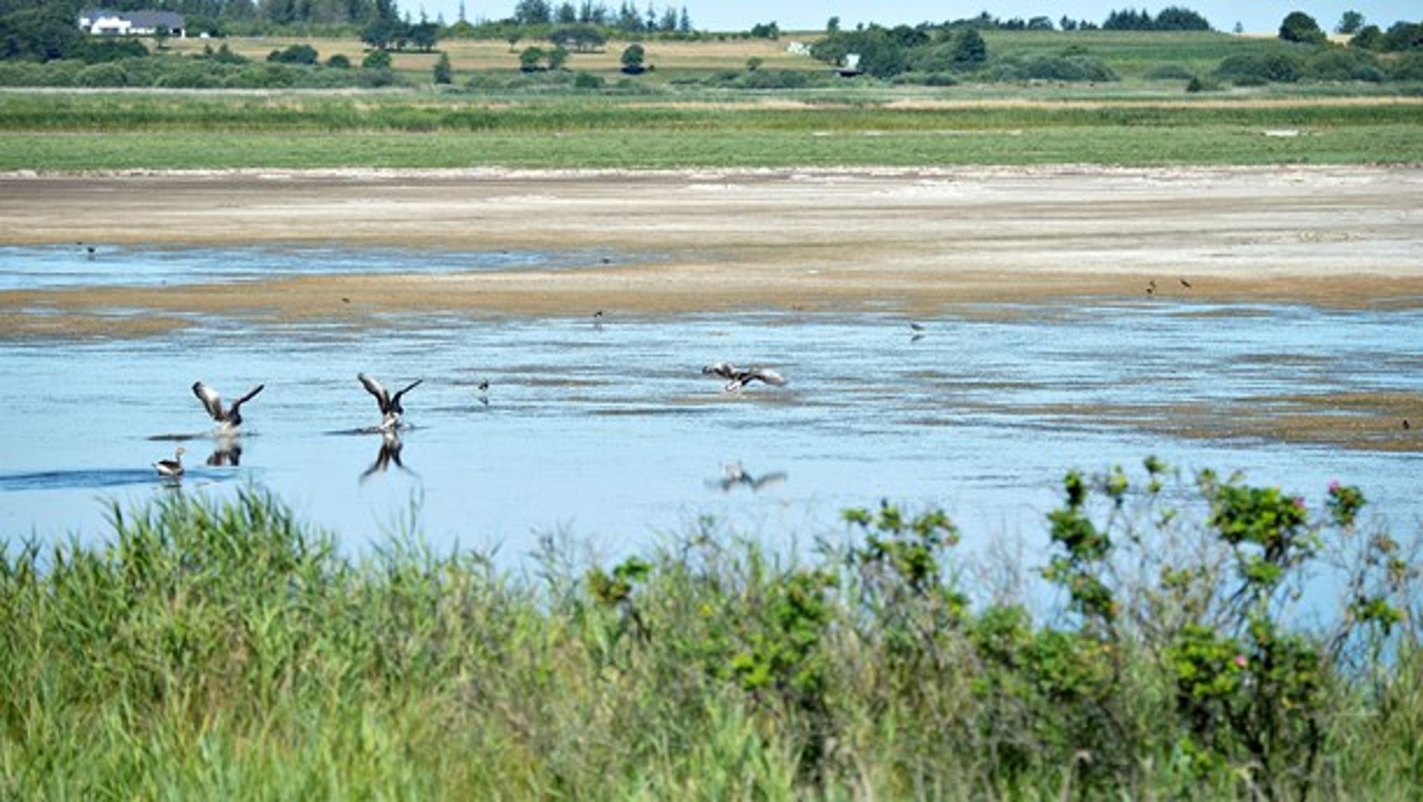 EU skal vende tommelfingeren opad, hvis regeringen skal lykkes med at ændre på naturbeskyttelsen i en række Natura 2000-områder.<br>