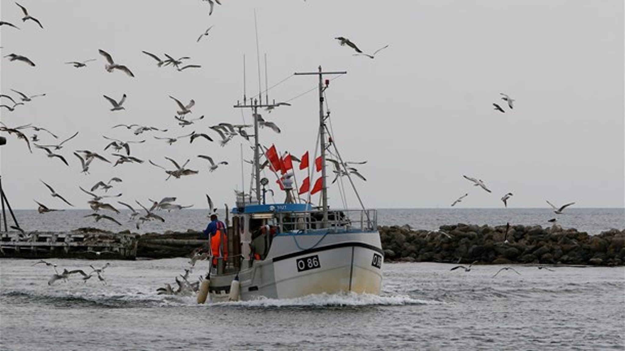 Brexitforhandlingerne er vigtige for dansk fiskeri, og derfor er Danmark gået sammen med andre lande for at stille krav på fiskeriets vegne, skriver Esben Sverdrup-Jensen.