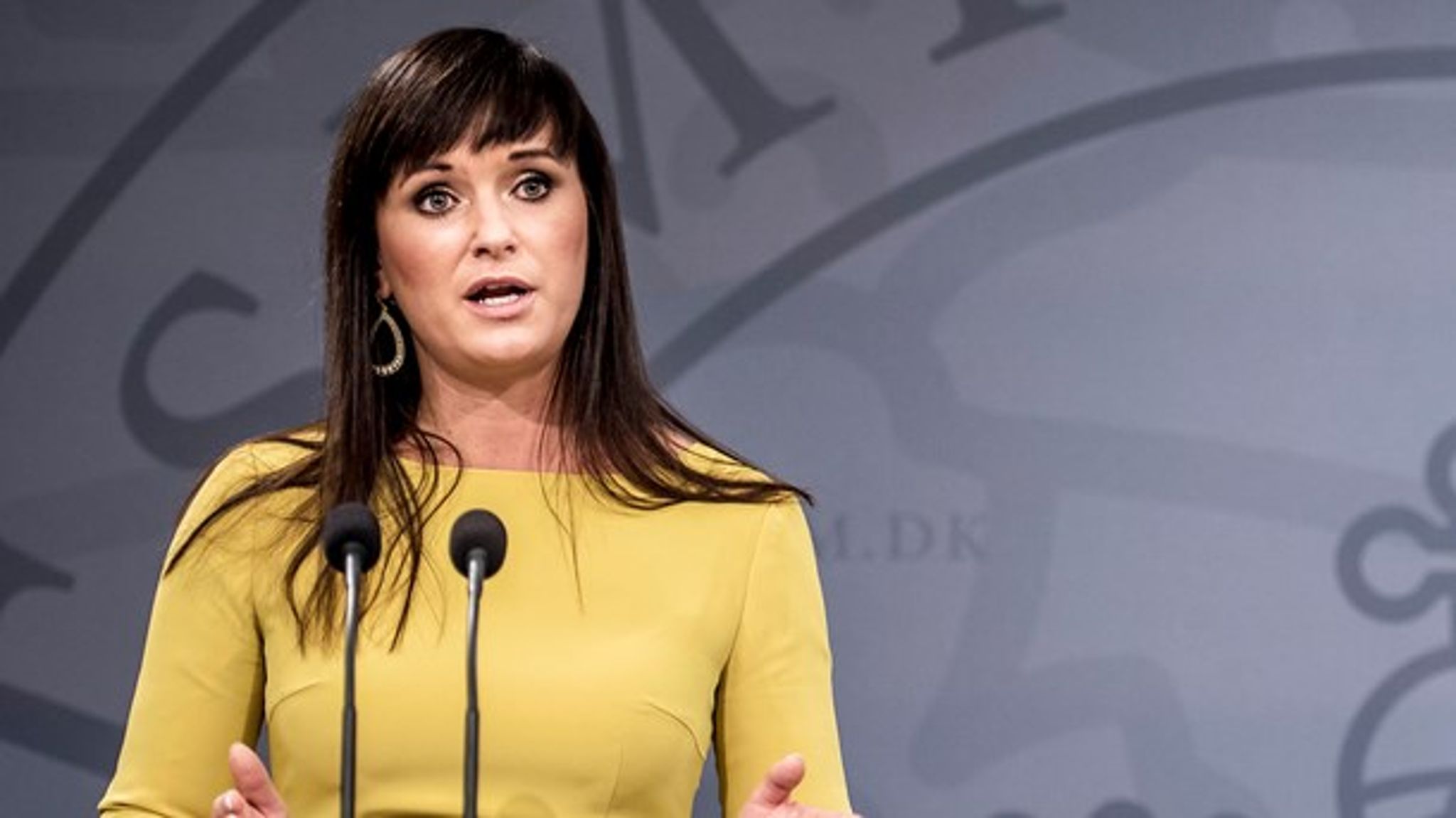 Det er særligt unge borgere, der skal have en hjælpende hånd i kontakten med det offentlige, fortæller innovationsminister Sophie Løhde (V).<br>