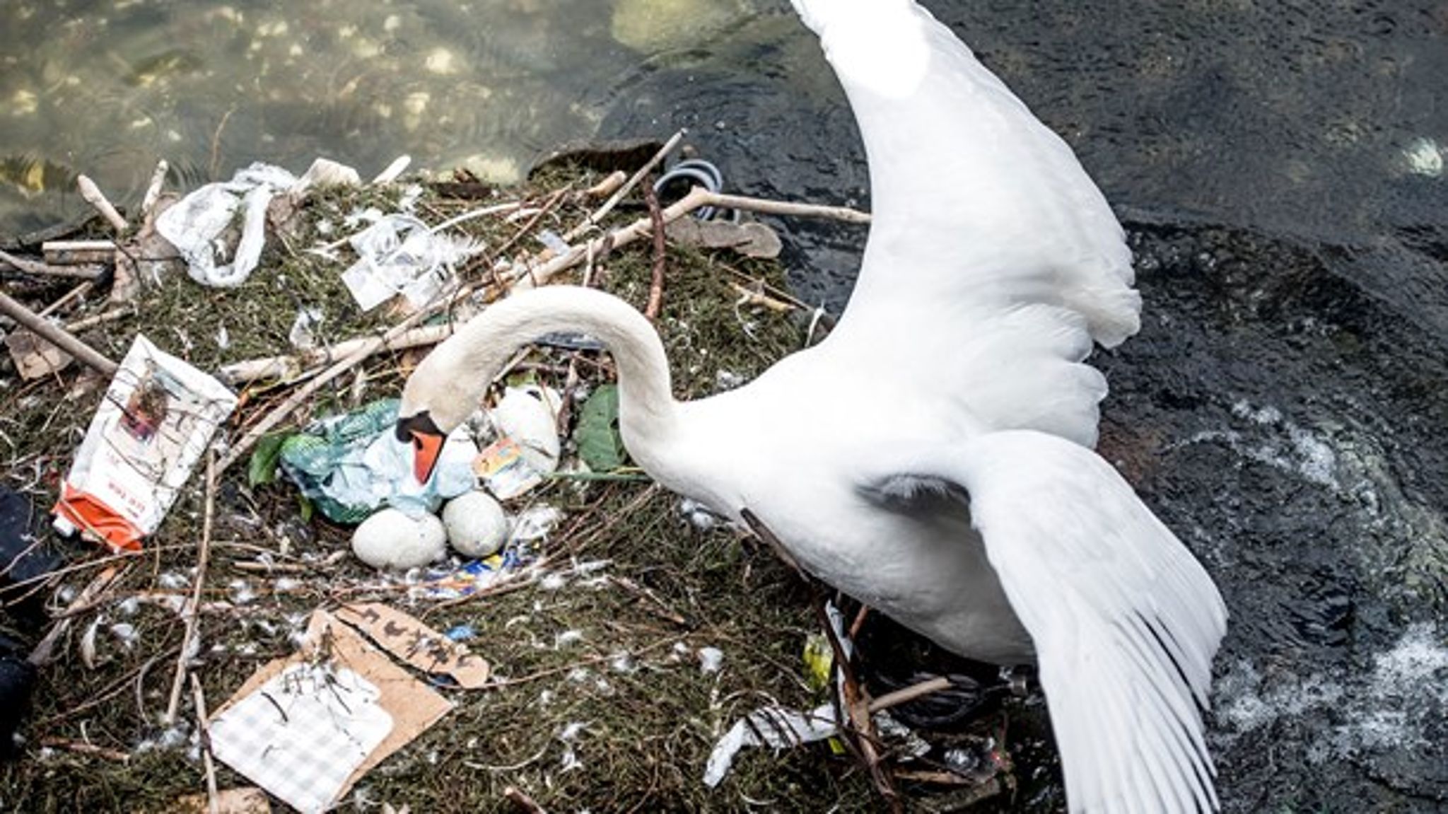 Kommissionens oprindelige forslag bygger på en undersøgelse af, hvilke plastikprodukter man oftest finder på strandene.&nbsp;