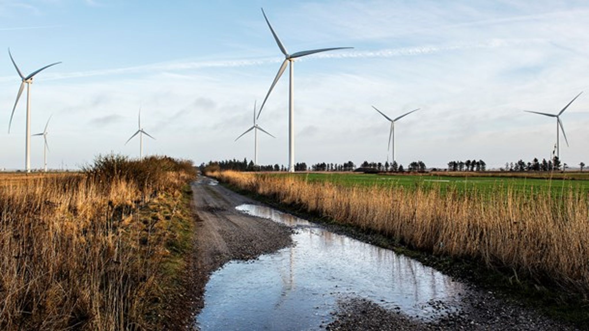 Nær den dansk-tyske grænse skaber vindmøller ifølge foreløbige beregninger så meget larm, at grænseværdierne for støj er overskredet. (Foto: Henning Bagger/Ritzau Scanpix).<br>
