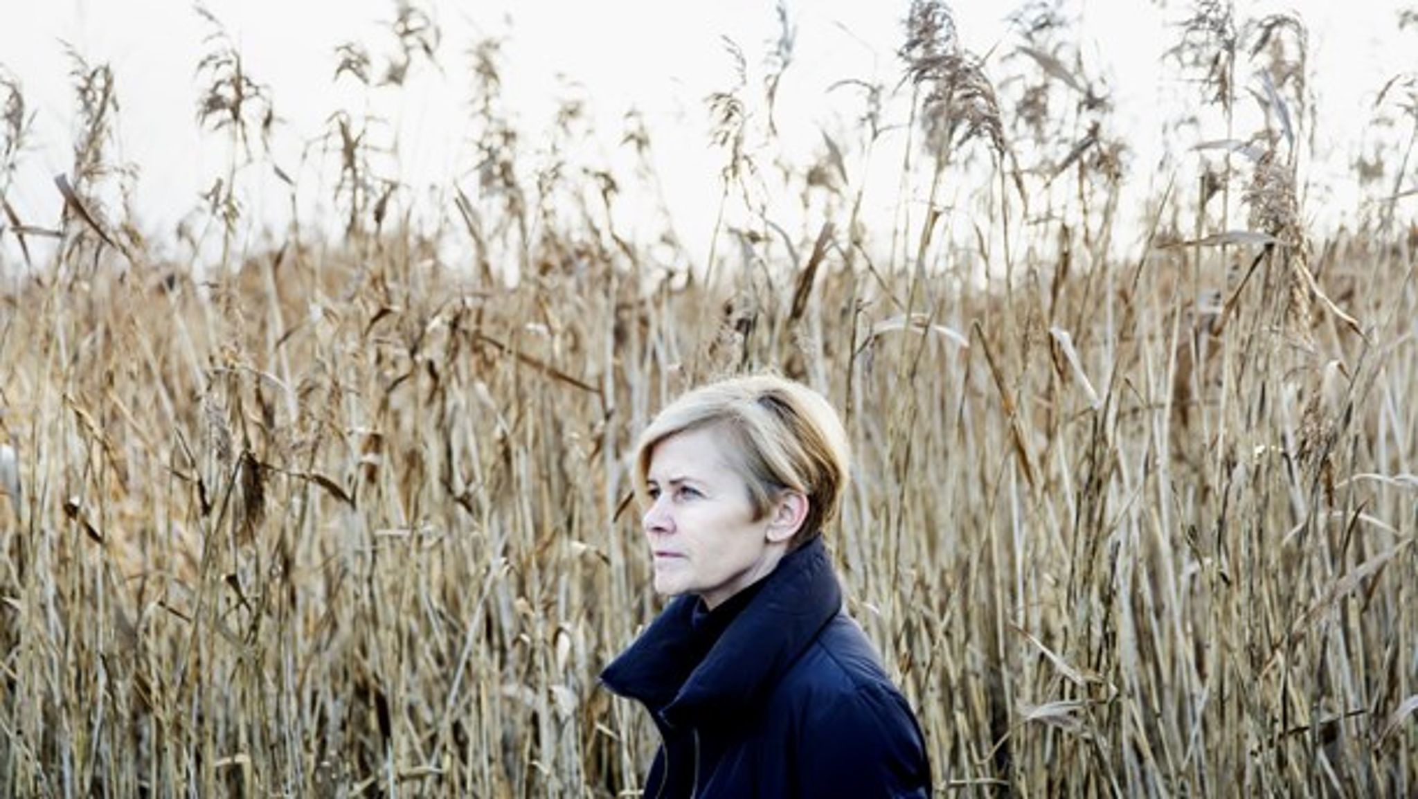 Landbrug & Fødevarer og KL vil have kulturminister Mette Bock til at forbedre sagsbehandlingen af diger.