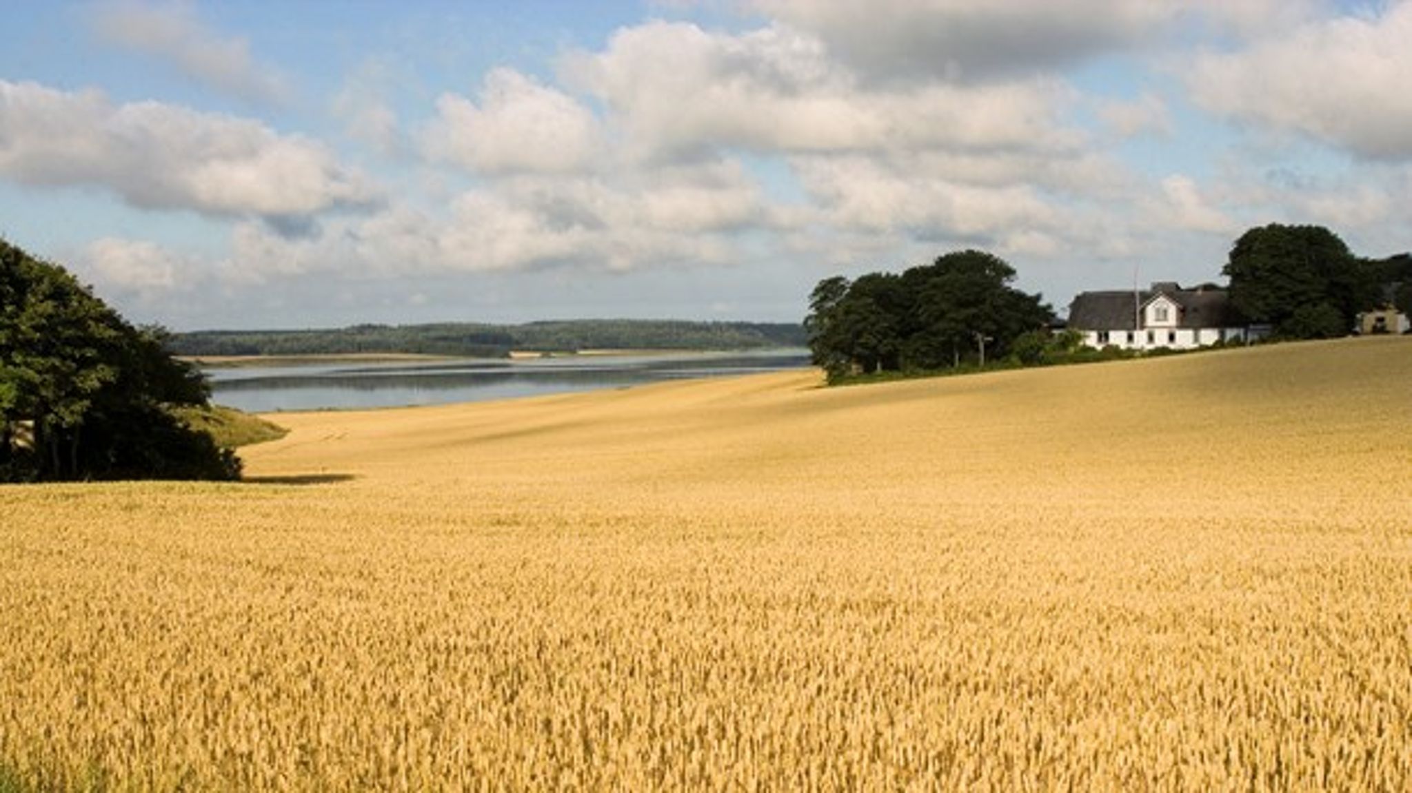 Der er bred enighed om, at fællesløsninger for natur og landbrug findes, og at vi som samfund bør investere i dem for at sikre, at der både er natur og landbrug i fremtidens Danmark.