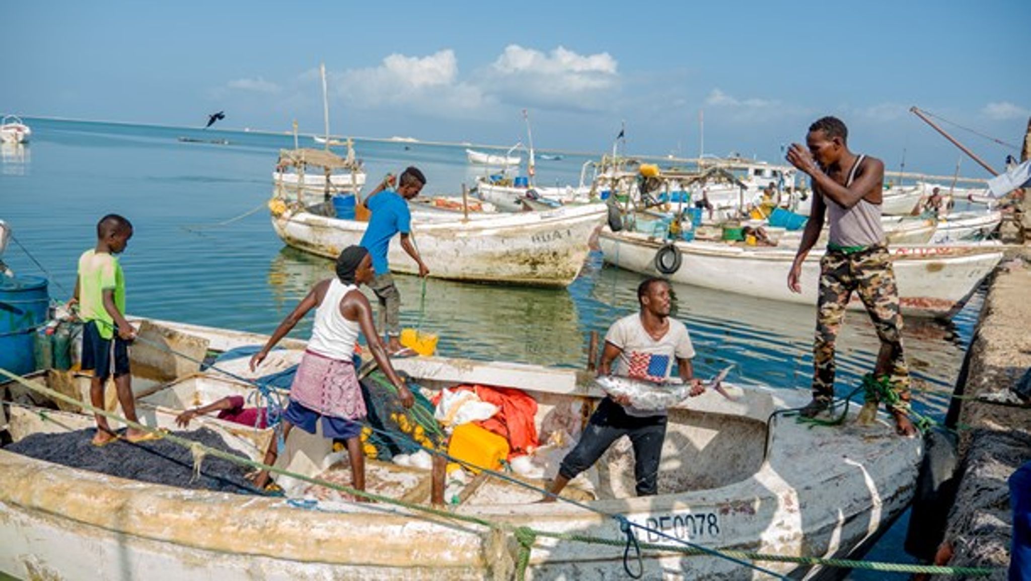 I 2018 passerede 1.200 tons fisk gennem Fair Fishings fiskeristation i Berbera. 