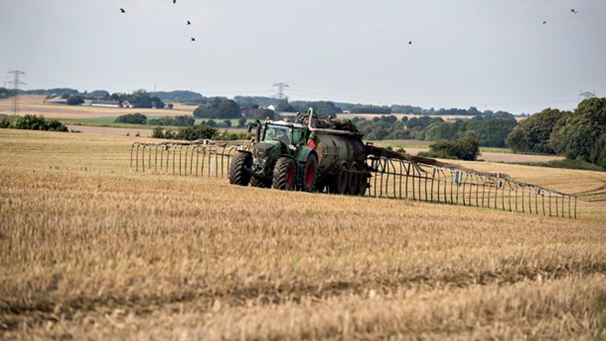 Kun 40 landmænd ansøgte i 2018 om at etablere minivådområde, der kan optage gylle, inden det løber ud i vandmiljøet. (Foto: Henning Bagger/Ritzau Scanpix).<br>
