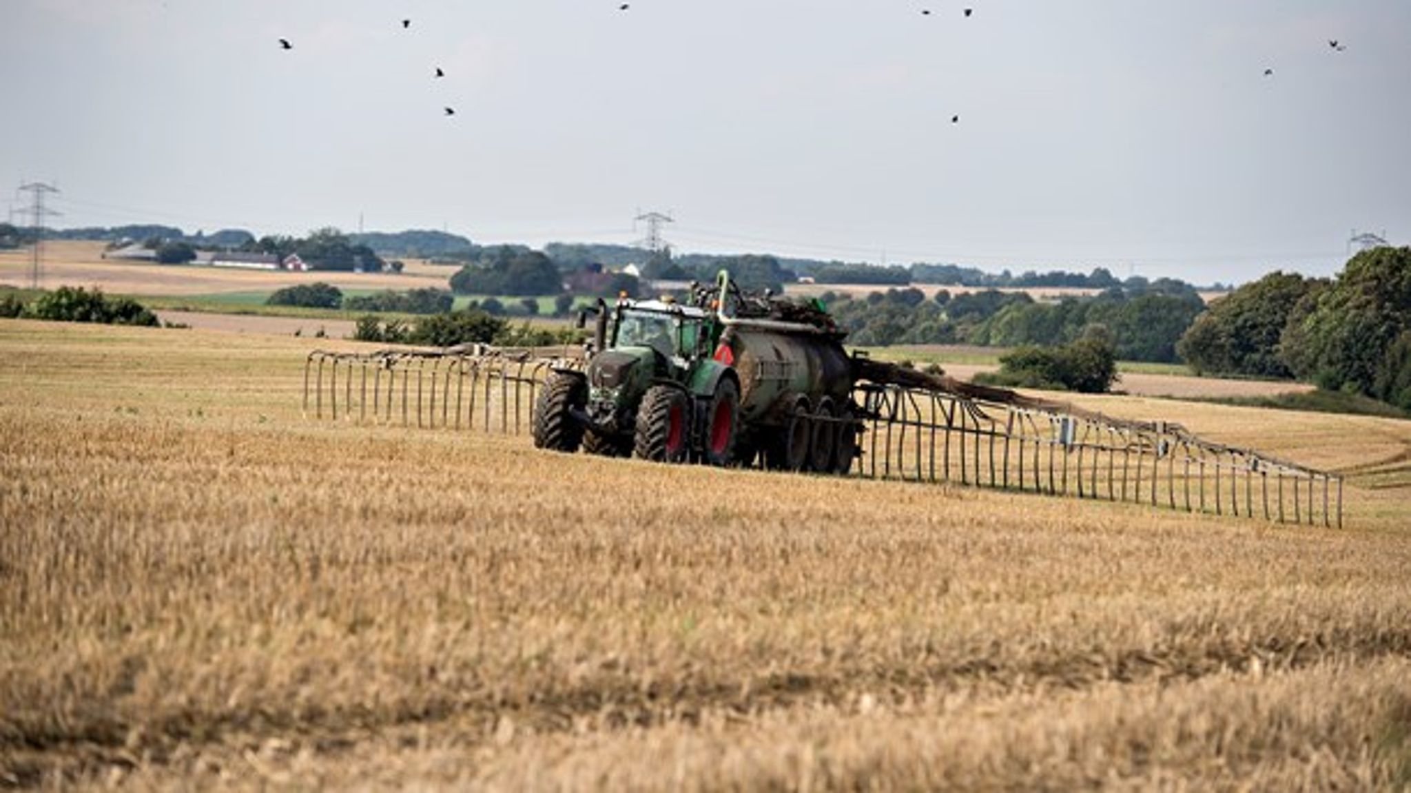 Kun 40 landmænd ansøgte i 2018 om at etablere minivådområder, der kan 
optage gylle, inden det løber ud i vandmiljøet. (Foto: Henning 
Bagger/Ritzau Scanpix).<br>