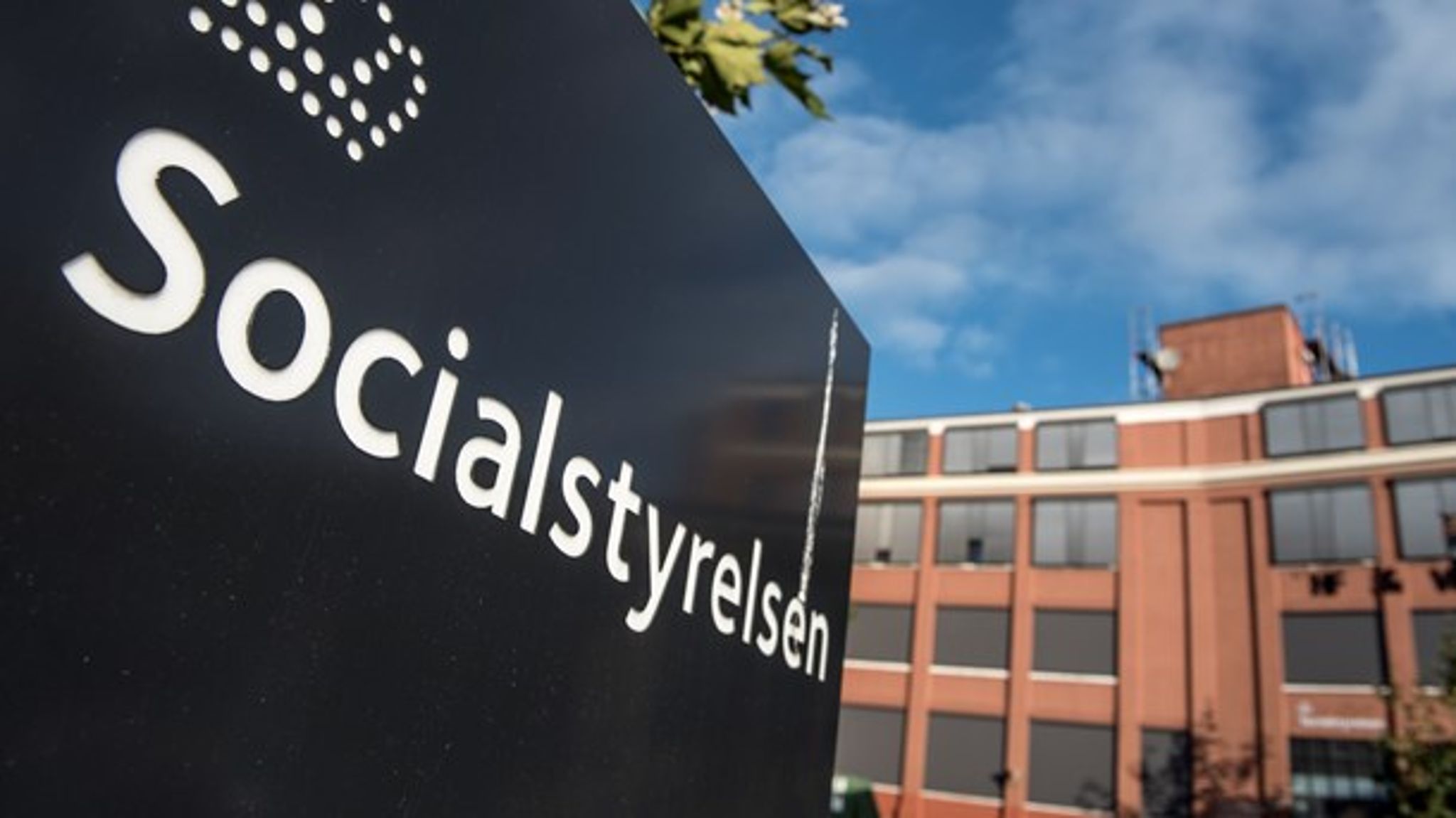 Til maj får Socialstyrelsen ny vicedirektør. 