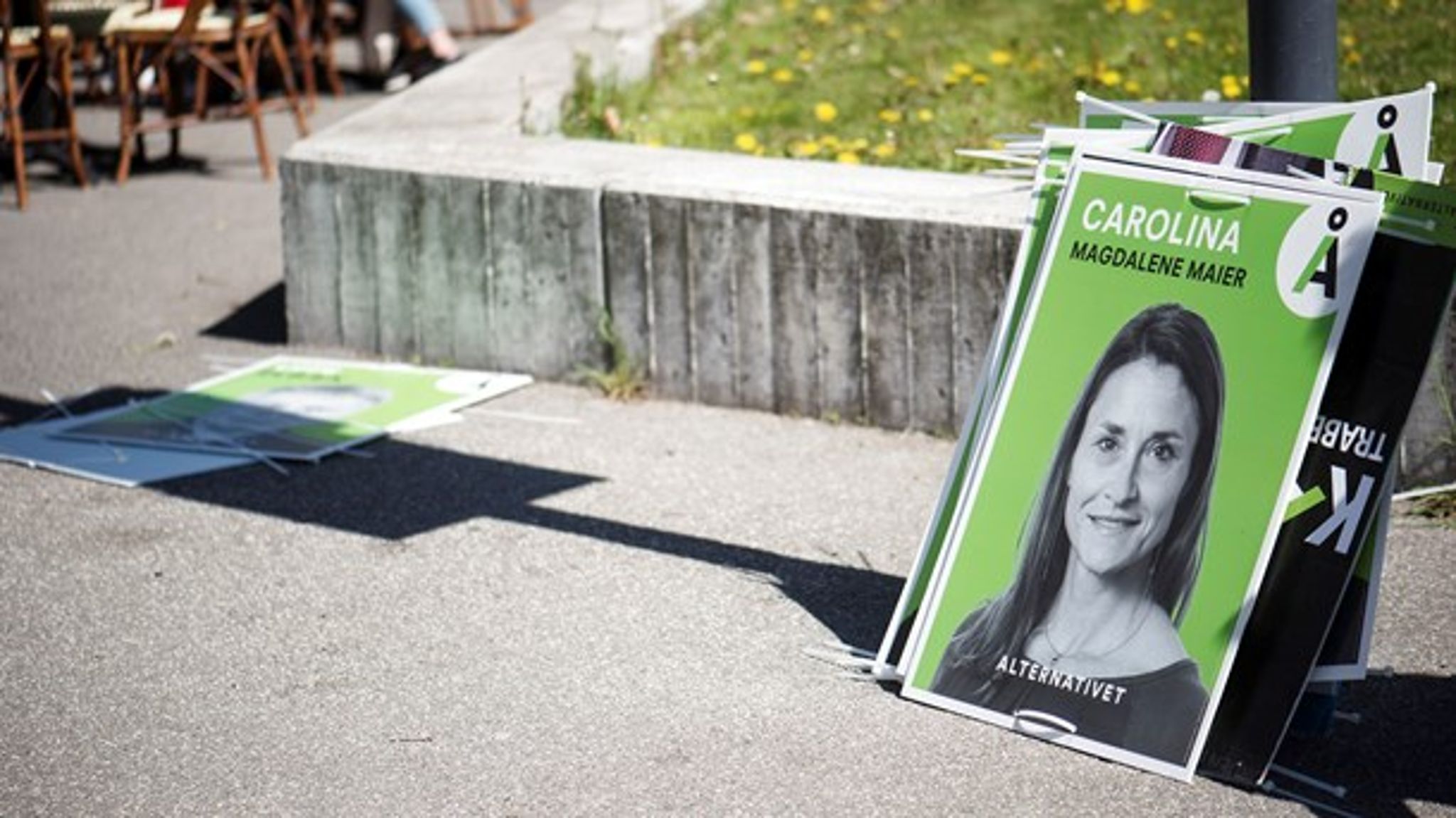 Alternativets gruppeformand, Carolina Magdalene Maier, er opstillet i samme storkreds som partiformand Uffe Elbæk. Det kan spænde ben for hendes genvalg, da partiet kun står til et mandat i Københavns storkreds.&nbsp;