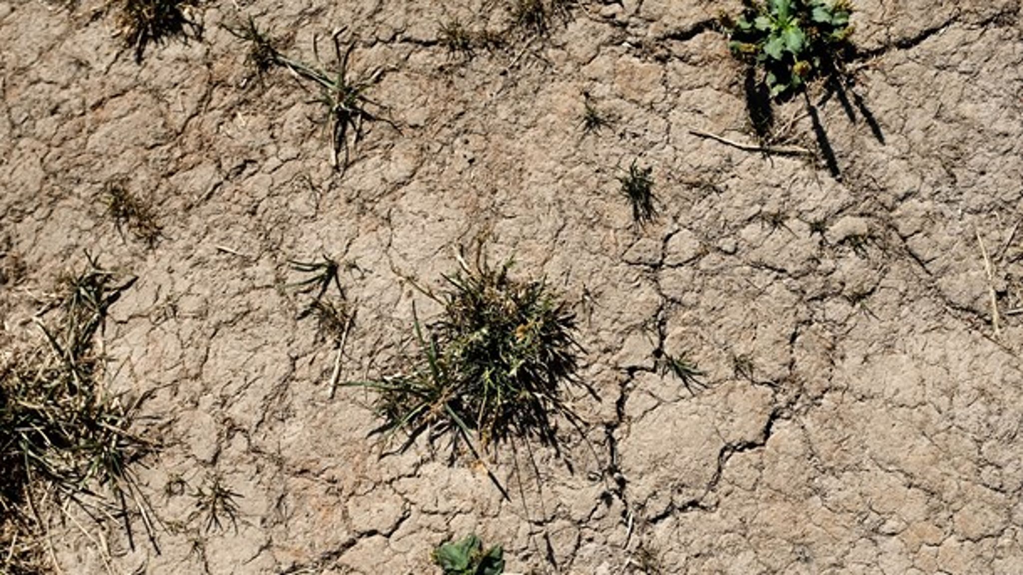 Der blev vedtaget en tørkepakke som reaktion på sidste sommers lange periode uden regn.&nbsp;
