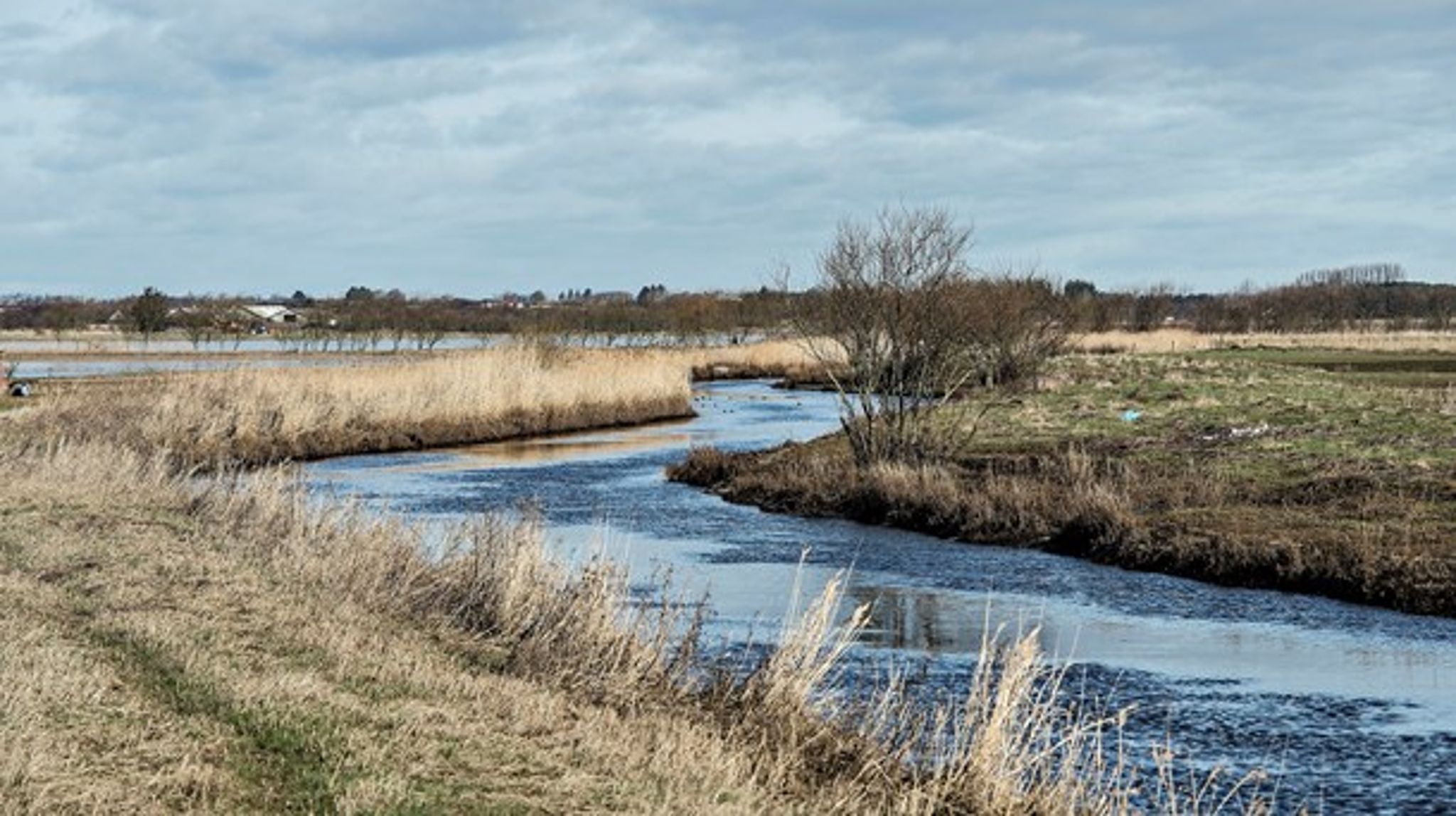 Alt for mange landmænd oplever, at naturen – frem for at være et positivt element på bedriften – bliver årsag til begrænsninger for landbrugsdriften, skriver Anders Panum Jensen.