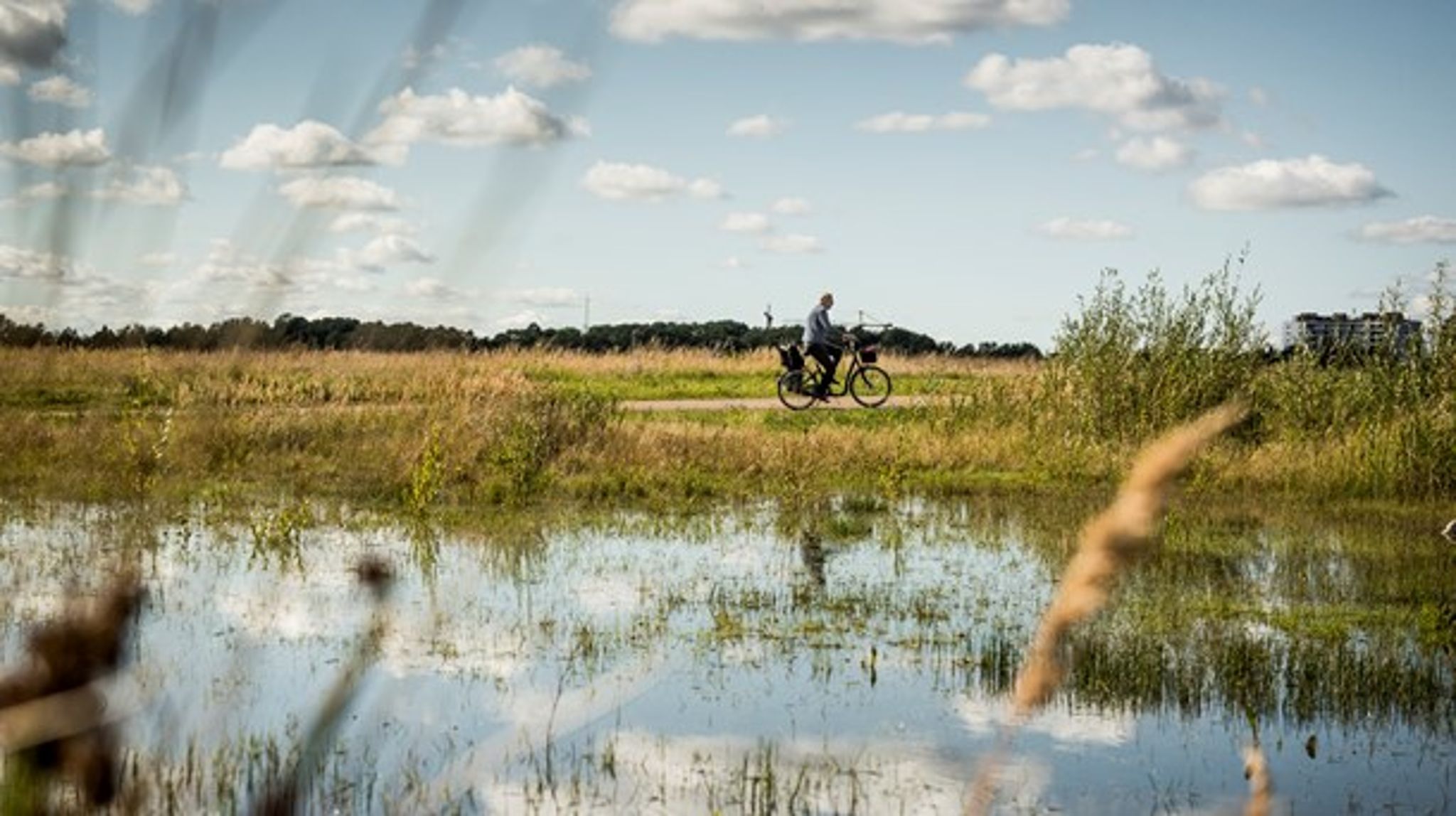 På det seneste møde i Københavns Kommunes Teknik- og Miljøudvalg stemte et flertal for, at der skal bygges blandt andet på&nbsp;Amager Fælled, fortæller Fanny Broholm.