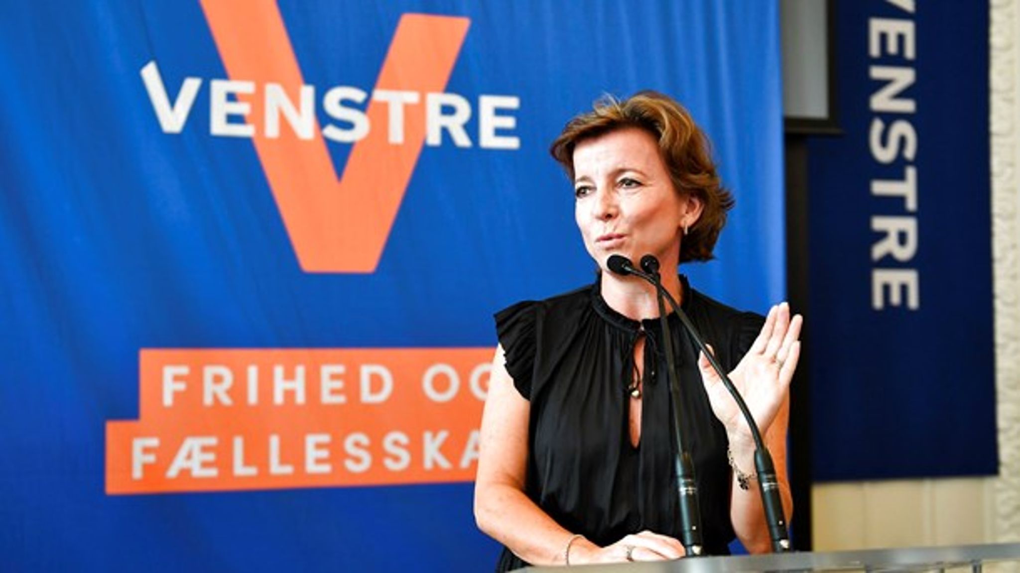 Faktum er, at det, der er allermest brug for i mange udviklingslande, stadig er velfungerende institutioner, skriver Karen Ellemann (V).